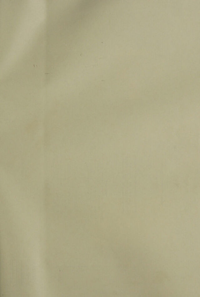 digitised image 3
