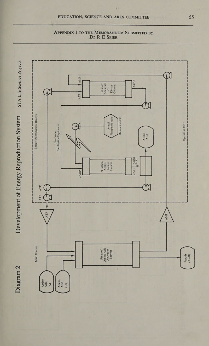 Dr R E Spier APPENDIX I TO THE MEMORANDUM SUBMITTED BY D-O€ 18 aeIadO a a ero con ir el ee ees Tee ee re Se eres era ee = s e rs nrsr ast eeSr Ss Th epndog | | | = pre coher Py SF is / gales ae ploy onaoy | dLvz ploy ouoydsoyg |Maoy uuinjod awAzuq ayesluapy uonext 4, uonex!4. ae ddvz quawidinby uonezyua¢ IBPIOA BY, inal oS j we div div! 4oj2edy UONonpoiday , ABieuq JojIeay UIE Des se a a ss es ee ee ce ee es oe sciuobecsteetcd sjosfoig eousISAHTIVIS wosAg uoNOnpoldoy AsiouY_ Jo yuoudojoANq 7 weiseiq