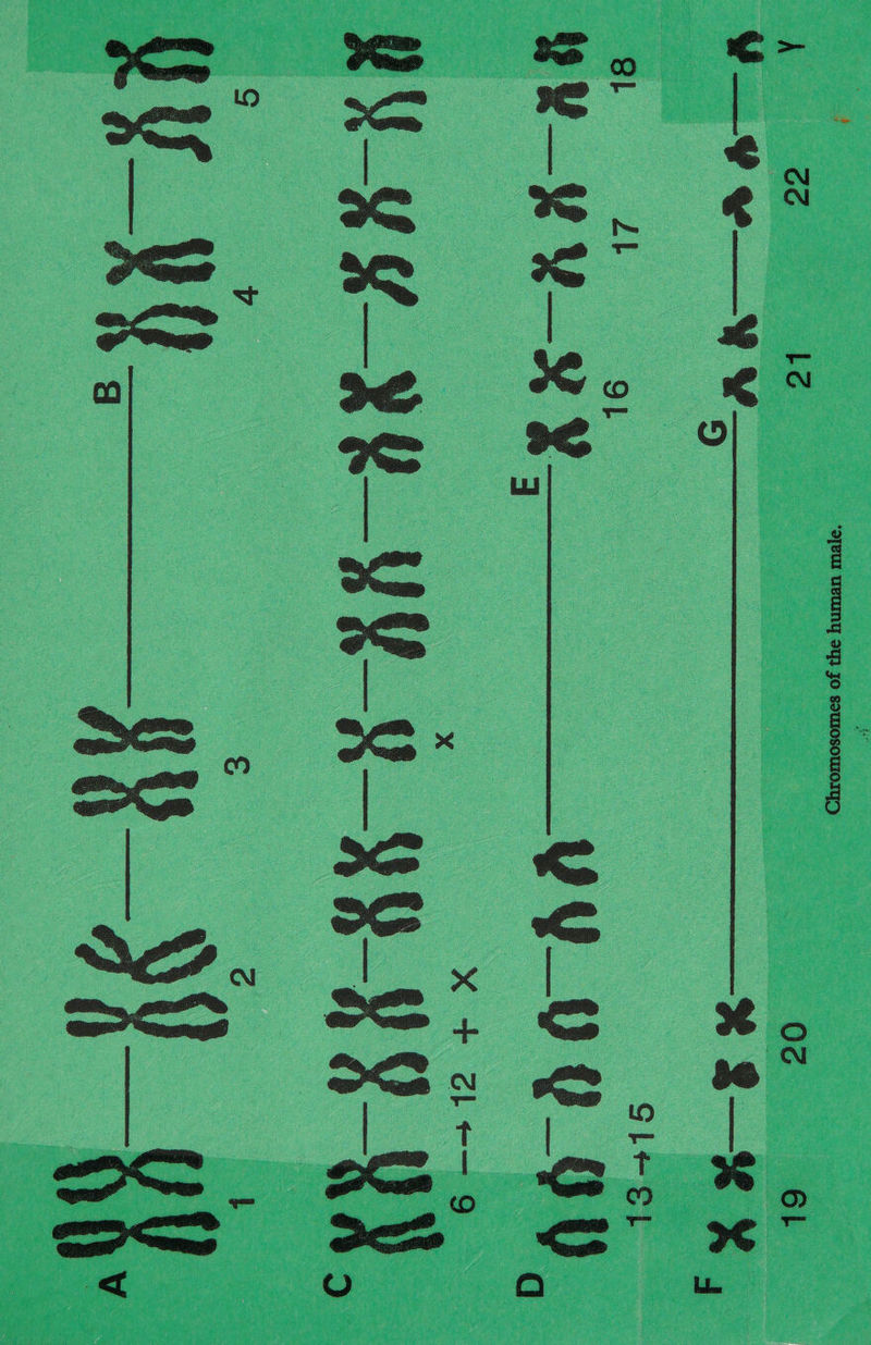 4 ‘a]eul UeUMY 3q3 Jo sowosowiozy5 GG Lo | : 02 6L Faeyr — ere « ____V¥_0 0 (ie  as 