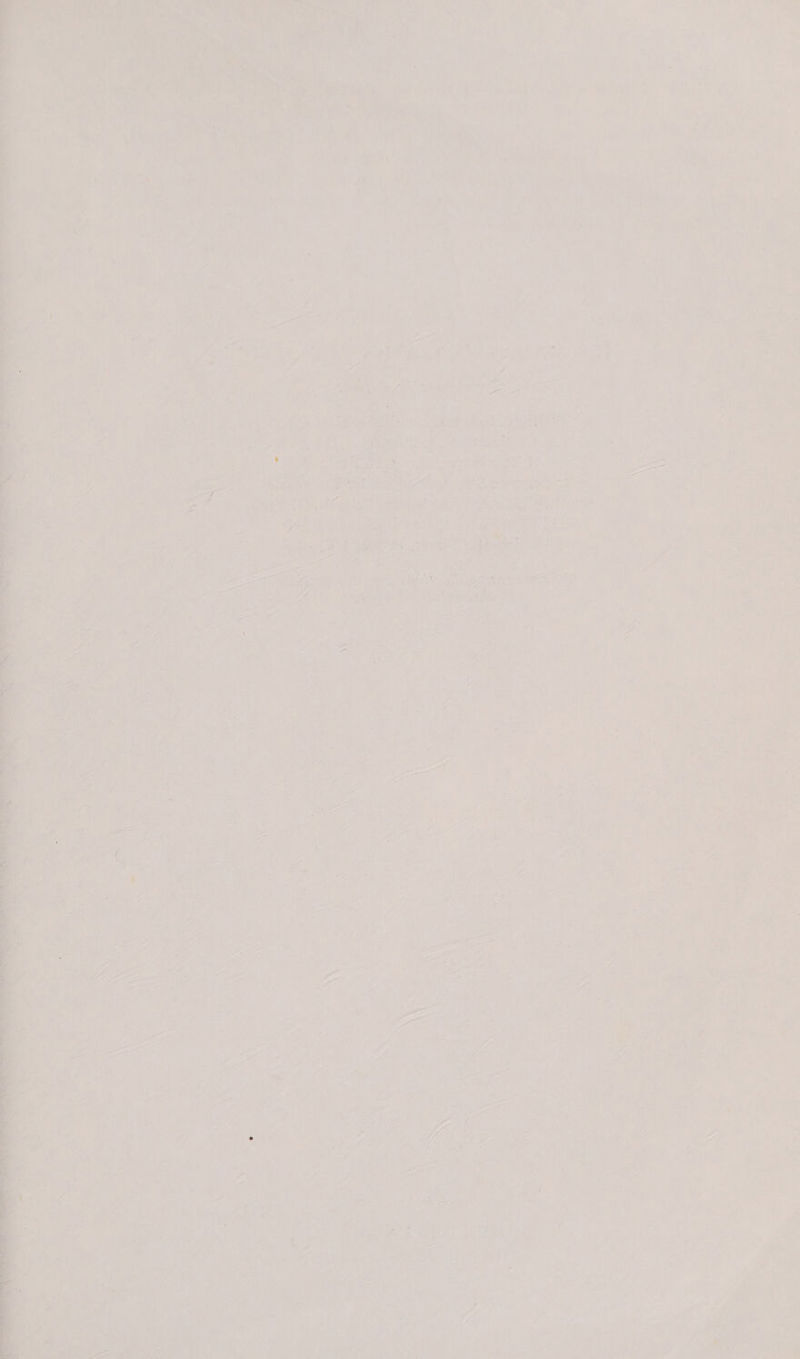 < e _ 2 oy Ser tare LAWS te ai iat mate Senay fe oh Care ee de © ea ~—