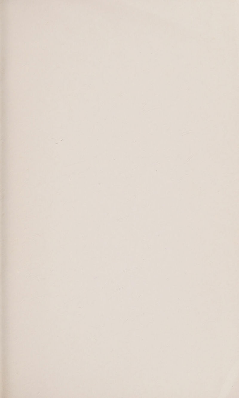 * P &lt; i 1 , » i . t \ = i — ' a + a St os = ? “a * v; y Cea a . v xe ' . oe =a 