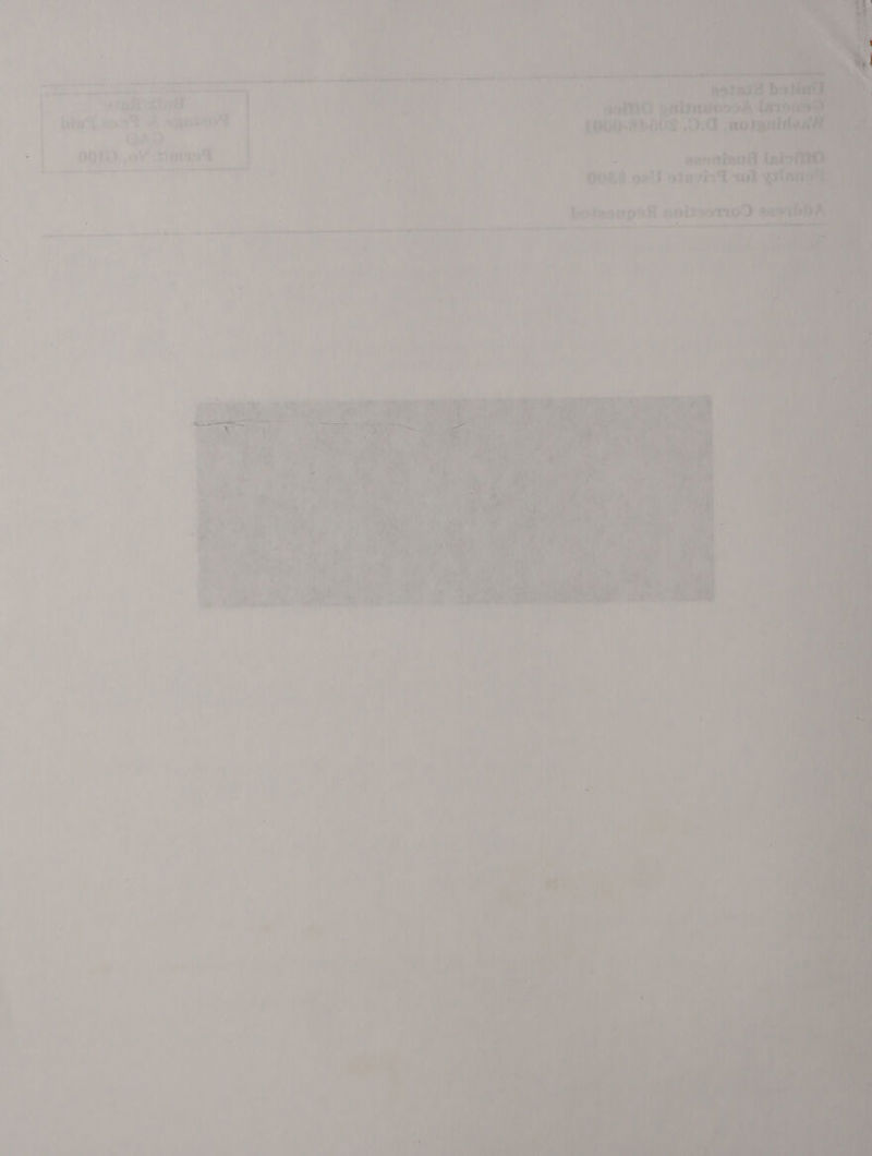 — 3 j + ame nt ae ee