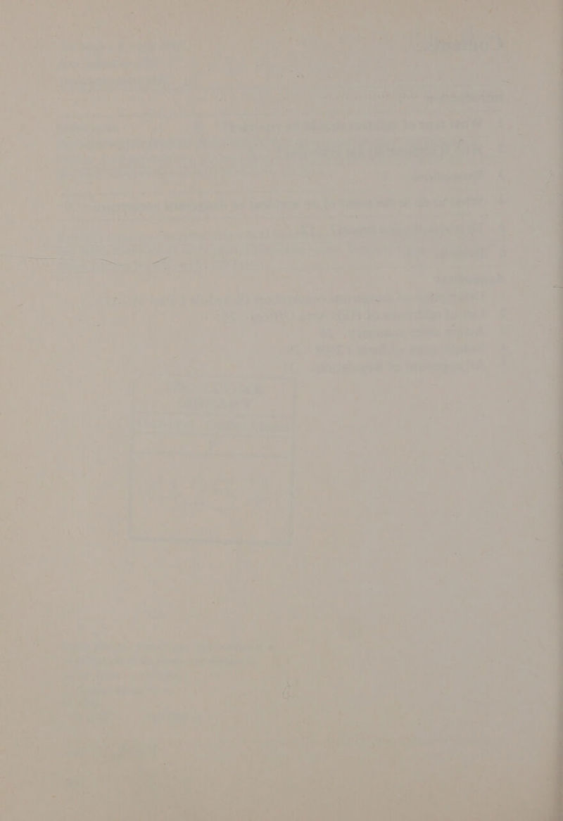 ae ey i Mi? ea a ae STF 2 - 4 ae