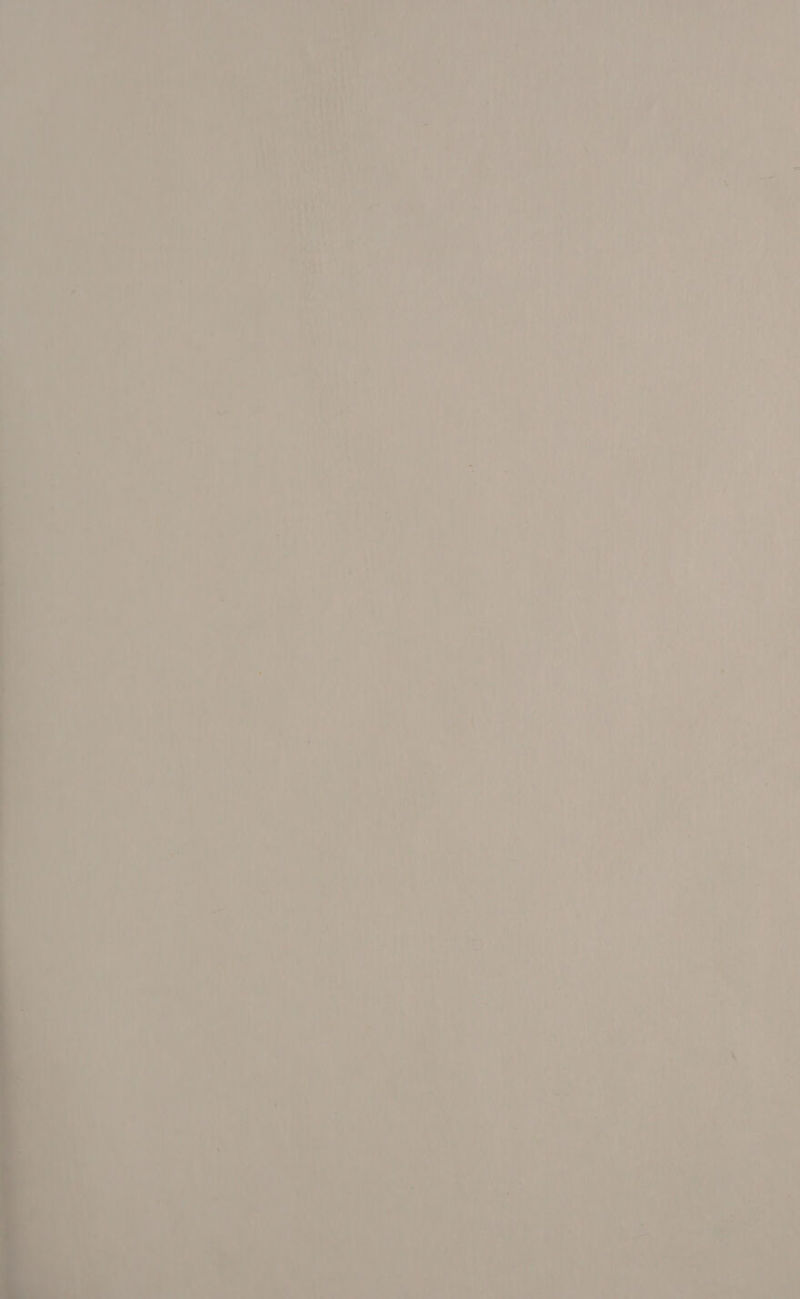 - a et ee, Tires. © PETES IAC eee Ce OD EL aus NL nee aT on) iia Nw i. raed o Ady ; _ M 1 7 asi , aethiva | f a ei a ‘ Shi © de nf, i us te hae parry 4 , (Wey ' ae Ss y, ae een i if ak oh ni ie ‘ PS | F i} , od Fy J ‘ i y y iit ) ? rey) ‘ iy   hk Vie reid) 6 | Mee ada hh is, wa WIRE ay TH RS iy ean Micro ib gare OUR a Boy 11! Vai dan RaW (i | if ue a ? i ' “ly 1 r / . ia? i Ds 1 4 , : - iJ ' fis ; \ ; } ( ’ , % ' ¥ dl if +f ' ri! 4 J -       } tt, a - i hy ” ae “a. ie . s PS : ; * _ 7 c : 7 e ? oy G + 1 ‘6 ba : Mal = oie. ie 7 Ty a) ra ae ; ne ; LS: 7) 4 * 4 : ' | Te : i Si, a , . ’ \ate a ; P 7 ¢ i) - - oe i i= 7 “,@ 