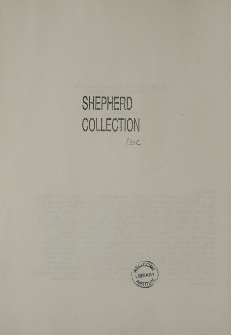 SHEPHERD COLLECTION / {BiG aD