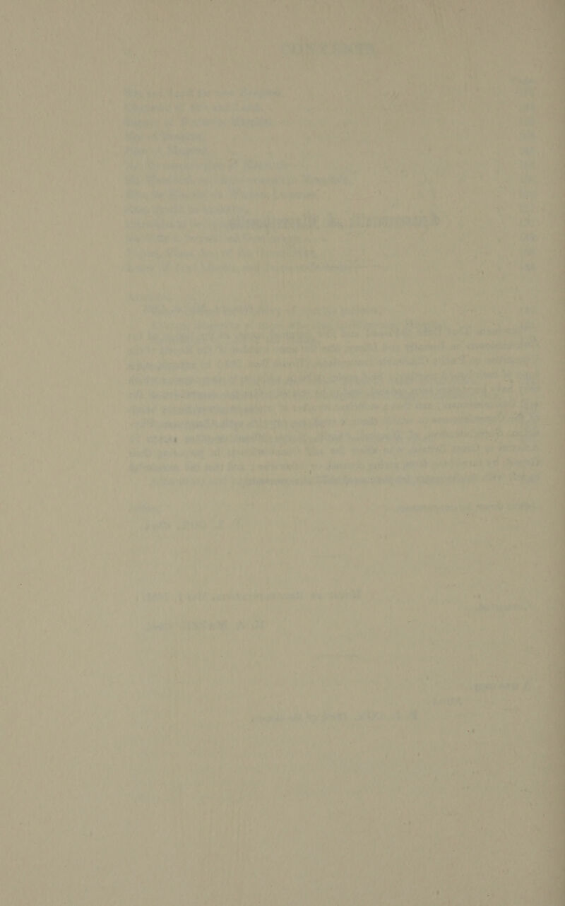       abel A d eh tse at hateal ; * ue «)' ; hi rent at, ae bic . Bes al + fo vy ) Oe 7g 1 sie ra } un ee ipa es ee Len a NG yaina > et Pr rh. a, ‘ 2 ‘abe Se iJ oe } 4 as yl) tant ik Seite at ( is i i Py Oak ‘ i | Rha TRG H bis ae ae ue cs a . s x > ey q ~ a th é t 75% i ws % ‘ j r] a 4 : a. ‘ke ' yo 4) 5 ‘ Veto us t | i ae a 4 i ; Js ( Wiss : ae, . 4 p® ae ; 6 Pd a j : 7 : pike vie Fant *) , 