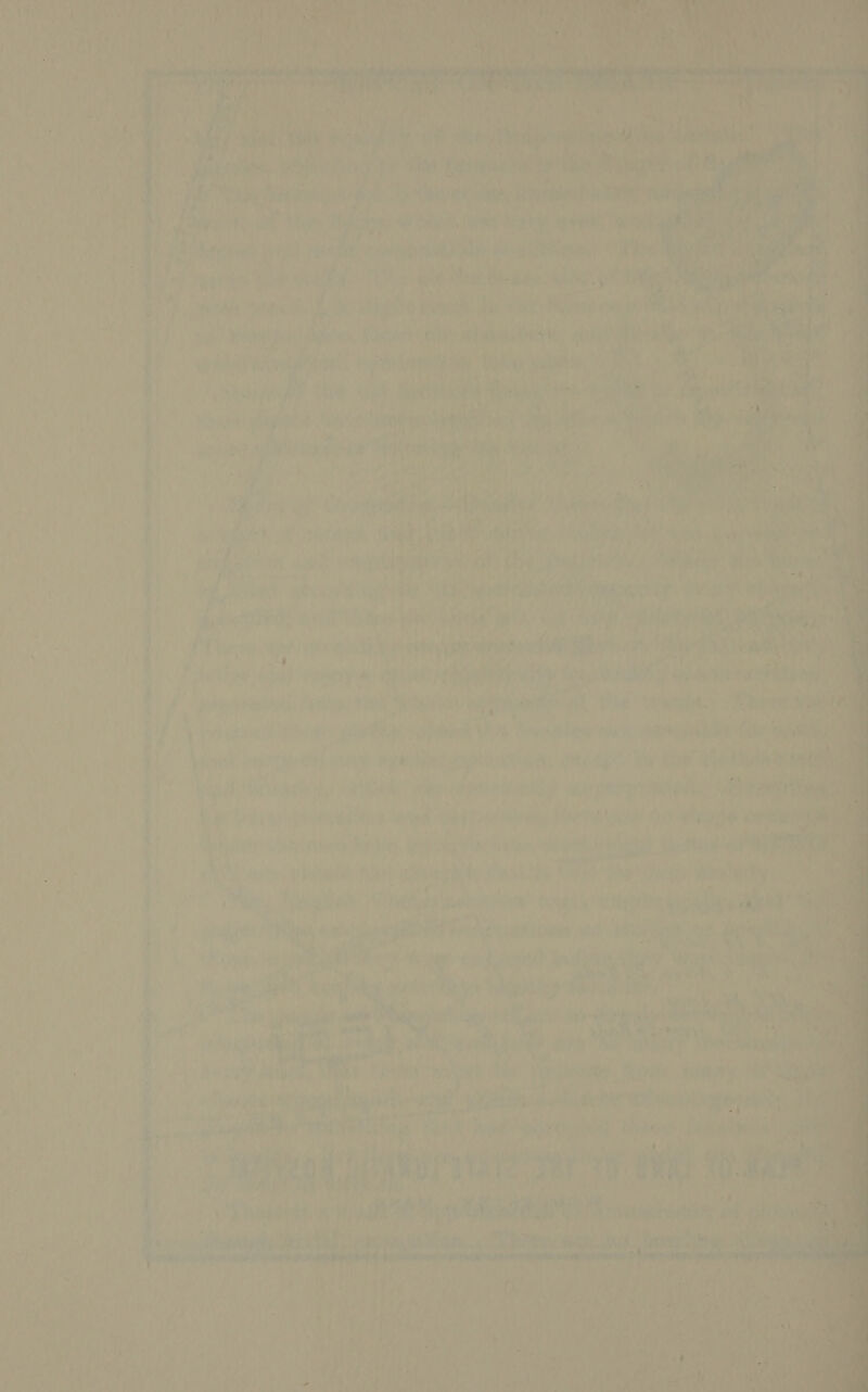      ay ae, ae Ls ' ee oe      &gt; 5 Put » F = ‘ a ov * on A ae Na) Moe muir Lh gts i ty ye rp ot a , as, r ' hie a el i“ as opr its ‘ nef , f ‘- ' ‘ —¥ ’ | ib i ae 4 ie % 4 ’ Ny he , ‘ eek ' Vol 1 a. ee =! 4 i” oe — é a wa ai ded 5 &lt;1 il QE SO PRR TI OF ip Sie | Vole n , With Ol pel eieten dye ait. TR ee J ane ’ mb &lt; ; i Ae ete Oa Sowa Li Baer tal .   : , J » ‘ L pS tee ‘eo } oe iad ¥ ar iaae: he &gt;, bh, cow, my Ge hle ao OR ; ey WEAF 4 aT 4 by   