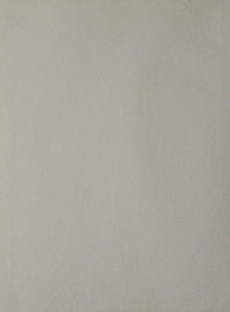 ® — = “ao tT ¥ ap \ » + 4 * t , ets ih : 4 ~ f &gt; i Fy hoa: . BO) Sl eee ¥ Ss 7; he st ' Po : te bi Ph me ; 2 ri : ‘aa fe! A tf , : 7 a agree ue _* a) se of = Oe, TE Oe ae a ee 3 ere ins |) ; My ets - j a “he a \: et ¢ “ ai cul ' @ 