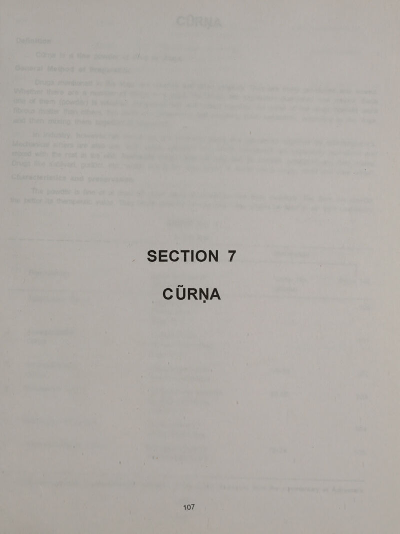 CURNA 107