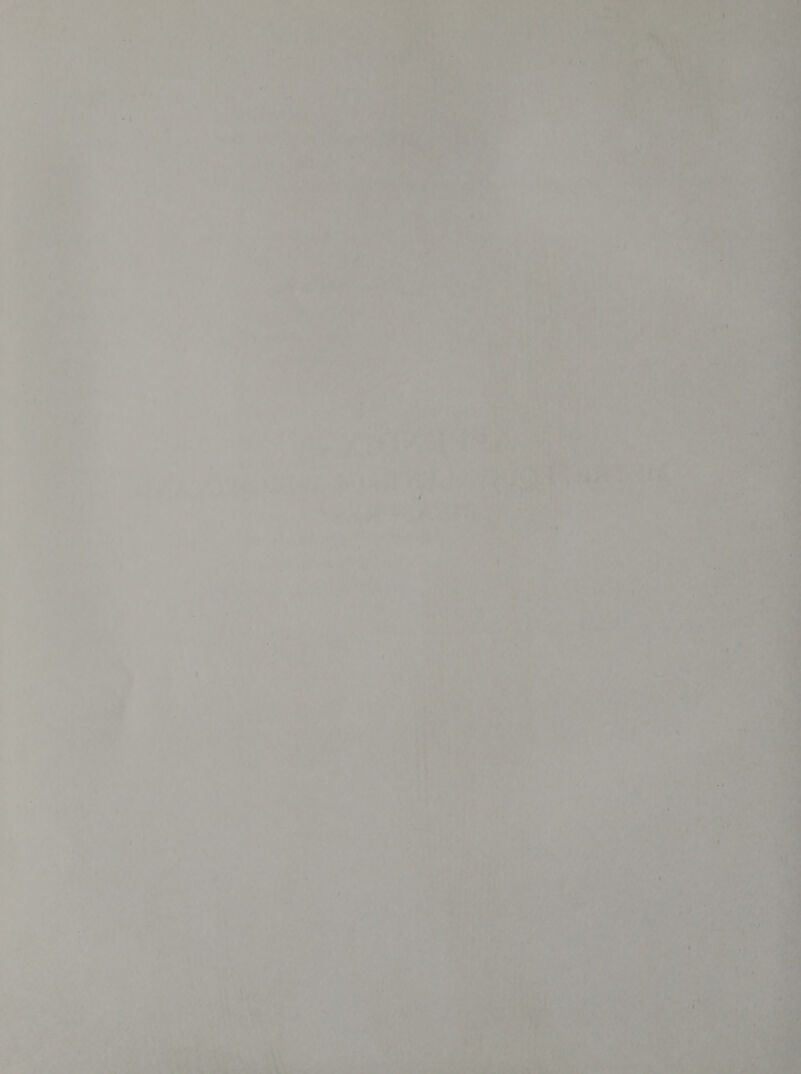 ष, + = ha: vt oe