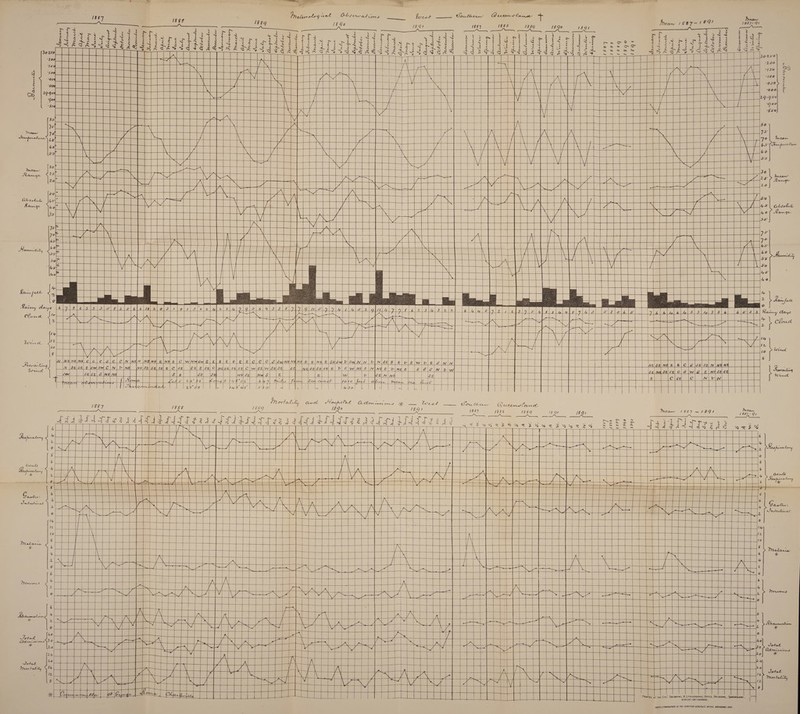 1981- 9' /rc-*/ Cl* l.e-1 ** d. iVt*.+ct HtmUTMVUMt *r m sumrrop ttmi pais tenet, bmsbami ,ast