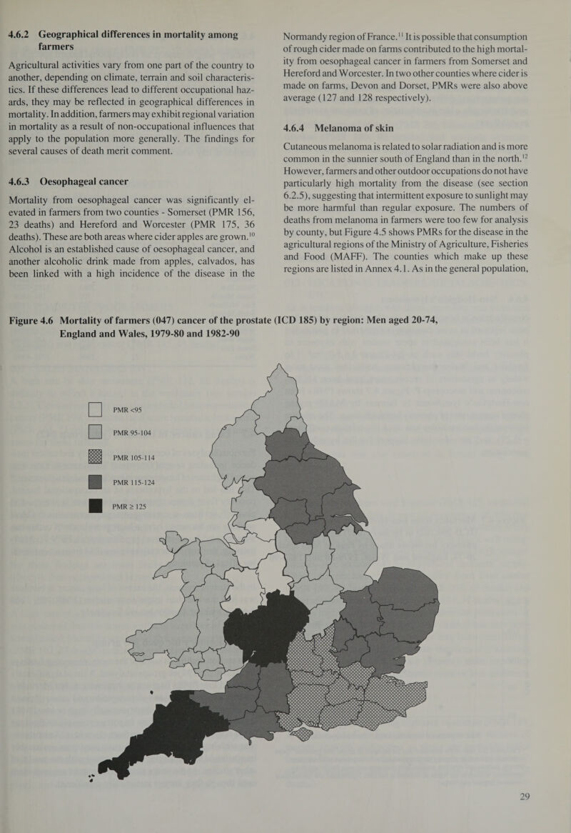 4.6.2 Geographical differences in mortality among farmers Agricultural activities vary from one part of the country to another, depending on climate, terrain and soil characteris¬ tics. If these differences lead to different occupational haz¬ ards, they may be reflected in geographical differences in mortality. In addition, farmers may exhibit regional variation in mortality as a result of non-occupational influences that apply to the population more generally. The findings for several causes of death merit comment. 4.6.3 Oesophageal cancer Mortality from oesophageal cancer was significantly el¬ evated in farmers from two counties - Somerset (PMR 156, 23 deaths) and Hereford and Worcester (PMR 175, 36 deaths). These are both areas where cider apples are grown.10 Alcohol is an established cause of oesophageal cancer, and another alcoholic drink made from apples, calvados, has been linked with a high incidence of the disease in the Normandy region of France.11 It is possible that consumption of rough cider made on farms contributed to the high mortal¬ ity from oesophageal cancer in farmers from Somerset and Hereford and Worcester. In two other counties where cider is made on farms, Devon and Dorset, PMRs were also above average (127 and 128 respectively). 4.6.4 Melanoma of skin Cutaneous melanoma is related to solar radiation and is more common in the sunnier south of England than in the north.12 However, farmers and other outdoor occupations do not have particularly high mortality from the disease (see section 6.2.5), suggesting that intermittent exposure to sunlight may be more harmful than regular exposure. The numbers of deaths from melanoma in farmers were too few for analysis by county, but Figure 4.5 shows PMRs for the disease in the agricultural regions of the Ministry of Agriculture, Fisheries and Food (MAFF). The counties which make up these regions are listed in Annex 4.1. As in the general population, Figure 4.6 Mortality of farmers (047) cancer of the prostate (ICD 185) by region: Men aged 20-74, England and Wales, 1979-80 and 1982-90