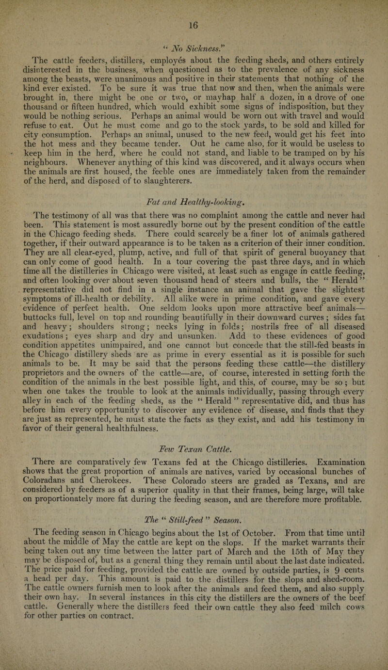 ‘‘ No Sickness.” The cattle feeders, distillers, employes about the feeding sheds, and others entirely disinterested in the business, when questioned as to the prevalence of any sickness among the beasts, were unanimous and positive in their statements that nothing of the kind ever existed. To be sure it was true that now and then, when the animals were brought in, there might be one or two, or mayhap half a dozen, in a drove of one thousand or fifteen hundred, which would exhibit some signs of indisposition, but they would be nothing serious. Perhaps an animal would be worn out with travel and would refuse to eat. Out he must come and go to the stock yards, to be sold and killed for city consumption. Perhaps an animal, unused to the new feed, would get his feet into the hot mess and they became tender. Out he came also, for it would be useless to keep him in the herd, where he could not stand, and liable to be tramped on by his neighbours. Whenever anything of this kind was discovered, and it always occurs when the animals are first housed, the feeble ones are immediately taken from the remainder of the herd, and disposed of to slaughterers. Fat and Healthy-looking. The testimony of all was that there was no complaint among the cattle and never had been. This statement is most assuredly borne out by the present condition of the cattle in the Chicago feeding sheds. There could scarcely be a finer lot of animals gathered together, if their outward appearance is to be taken as a criterion of their inner condition. They are all clear-eyed, plump, active, and full of that spirit of general buoyancy that can only come of good health. In a tour covering the past three clays, and in which time all the distilleries in Chicago were visited, at least such as engage in cattle feeding, and often looking over about seven thousand head of steers and bulls, the “ Herald ” representative did not find in a single instance an animal that gave the slightest symptoms of ill-health or debility. All alike were in prime condition, and gave every evidence of perfect health. One seldom looks upon more attractive beef animals— buttocks full, level on top and rounding beautifully in their downward curves ; sides fat and heav}^; shoulders strong; necks lying in folds; nostrils free of all diseased exudations; eyes sharp and dry and unsunken. Add to these evidences of good condition appetites unimpaired, and one cannot but concede that the still-fed beasts in the Chicago distillery sheds are as prime in every essential as it is possible for such animals to be. It may be said that the persons feeding these cattle—the distillery proprietors and the owners of the cattle—are, of course, interested in setting forth the condition of the animals in the best possible light, and this, of course, may be so ; but when one takes the trouble to look at the animals individually, passing through every alley in each of the feeding sheds, as the “ Herald ” representative did, and thus has before him every opportunity to discover any evidence of disease, and finds that they are just as represented, he must state the facts as they exist, and add his testimony in favor of their general healthfulness. Few Texan Cattle. There are comparatively few Texans fed at the Chicago distilleries. Examination shows that the great proportion of animals are natives, varied by occasional bunches of Coloradans and Cherokees. These Colorado steers are graded as Texans, and are considered by feeders as of a superior quality in that their frames, being large, will take on proportionately more fat during the feeding season, and are therefore more profitable. The “ Still-feed ” Season. The feeding season in Chicago begins about the 1st of October. From that time until about the middle of May the cattle are kept on the slops. If the market warrants their being taken out any time between the latter part of March and the 15th of May they may be disposed of, but as a general thing they remain until about the last date indicated. The price paid for feeding, provided the cattle are owned by outside parties, is 9 cents a head per day. This amount is paid to the distillers for the slops and shed-room. The cattle owners furnish men to look after the animals and feed them, and also supply their own hay. In several instances in this city the distillers are the owners of the beef cattle. Generally where the distillers feed their own cattle they also feed milch cows for other parties on contract.