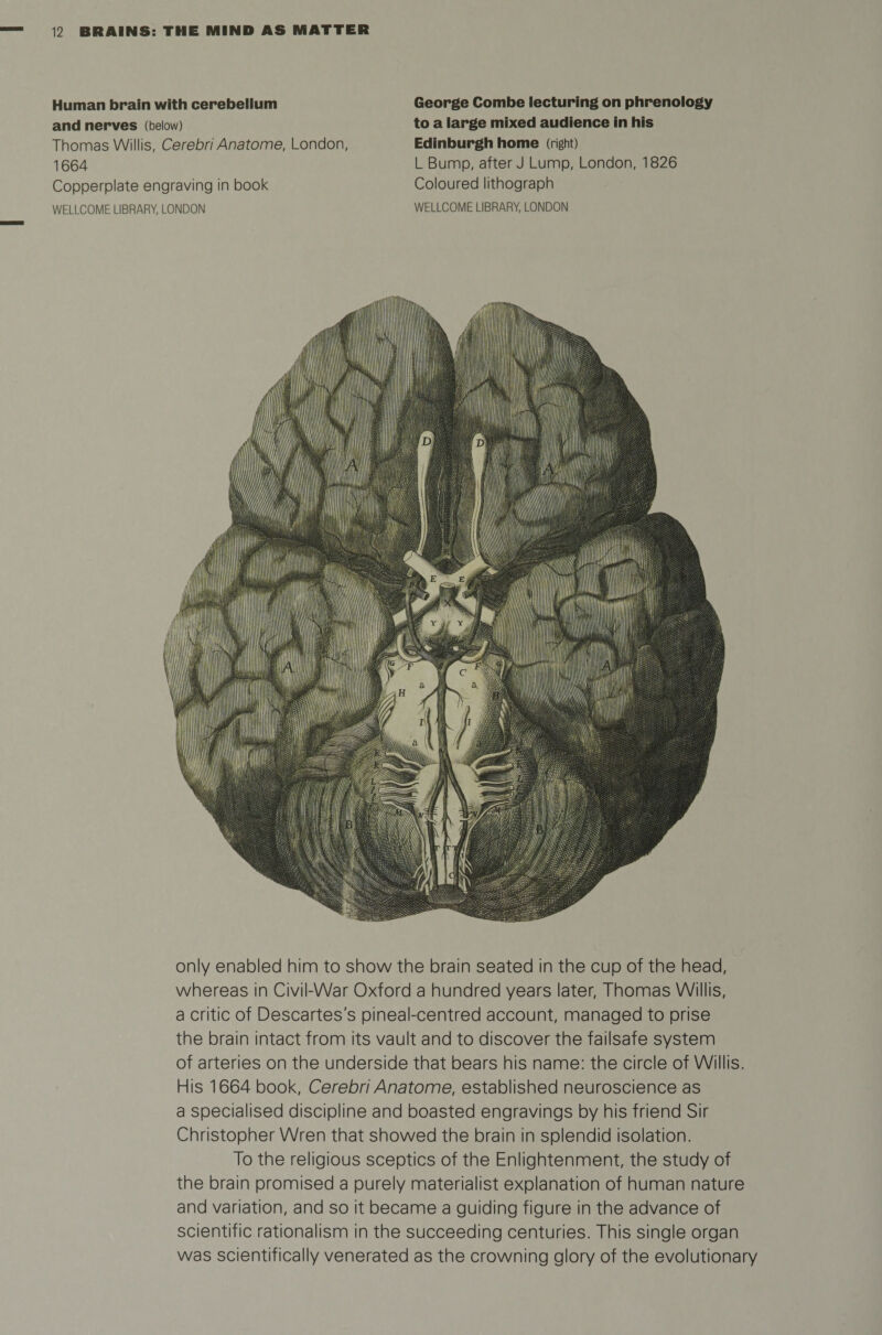 Human brain with cerebellum and nerves (below) Thomas Willis, Cerebri Anatome, London, 1664 Copperplate engraving in book WELLCOME LIBRARY, LONDON George Combe lecturing on phrenology to a large mixed audience in his Edinburgh home (right) L Bump, after J Lump, London, 1826 Coloured lithograph WELLCOME LIBRARY, LONDON only enabled him to show the brain seated in the cup of the head, whereas in Civil-War Oxford a hundred years later, Thomas Willis, a critic of Descartes's pineal-centred account, managed to prise the brain intact from its vault and to discover the failsafe system of arteries on the underside that bears his name: the circle of Willis. His 1664 book, Cerebri Anatome, established neuroscience as a specialised discipline and boasted engravings by his friend Sir Christopher Wren that showed the brain in splendid isolation. To the religious sceptics of the Enlightenment, the study of the brain promised a purely materialist explanation of human nature and variation, and so it became a guiding figure in the advance of scientific rationalism in the succeeding centuries. This single organ was scientifically venerated as the crowning glory of the evolutionary