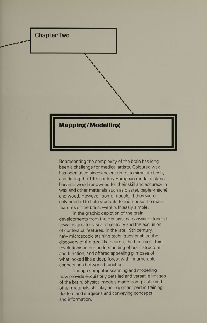 Chapter Two T- \ \ \ \ \ \ \ N \ N N N \ \ Representing the complexity of the brain has long been a challenge for medical artists. Coloured wax has been used since ancient times to simulate flesh, and during the 19th century European model-makers became world-renowned for their skill and accuracy in wax and other materials such as plaster, papier-mache and wood. However, some models, if they were only needed to help students to memorise the main features of the brain, were ruthlessly simple. In the graphic depiction of the brain, developments from the Renaissance onwards tended towards greater visual objectivity and the exclusion of contextual features. In the late 19th century, new microscopic staining techniques enabled the discovery of the tree-like neuron, the brain cell. This revolutionised our understanding of brain structure and function, and offered appealing glimpses of what looked like a deep forest with innumerable connections between branches. Though computer scanning and modelling now provide exquisitely detailed and versatile images of the brain, physical models made from plastic and other materials still play an important part in training doctors and surgeons and conveying concepts and information.