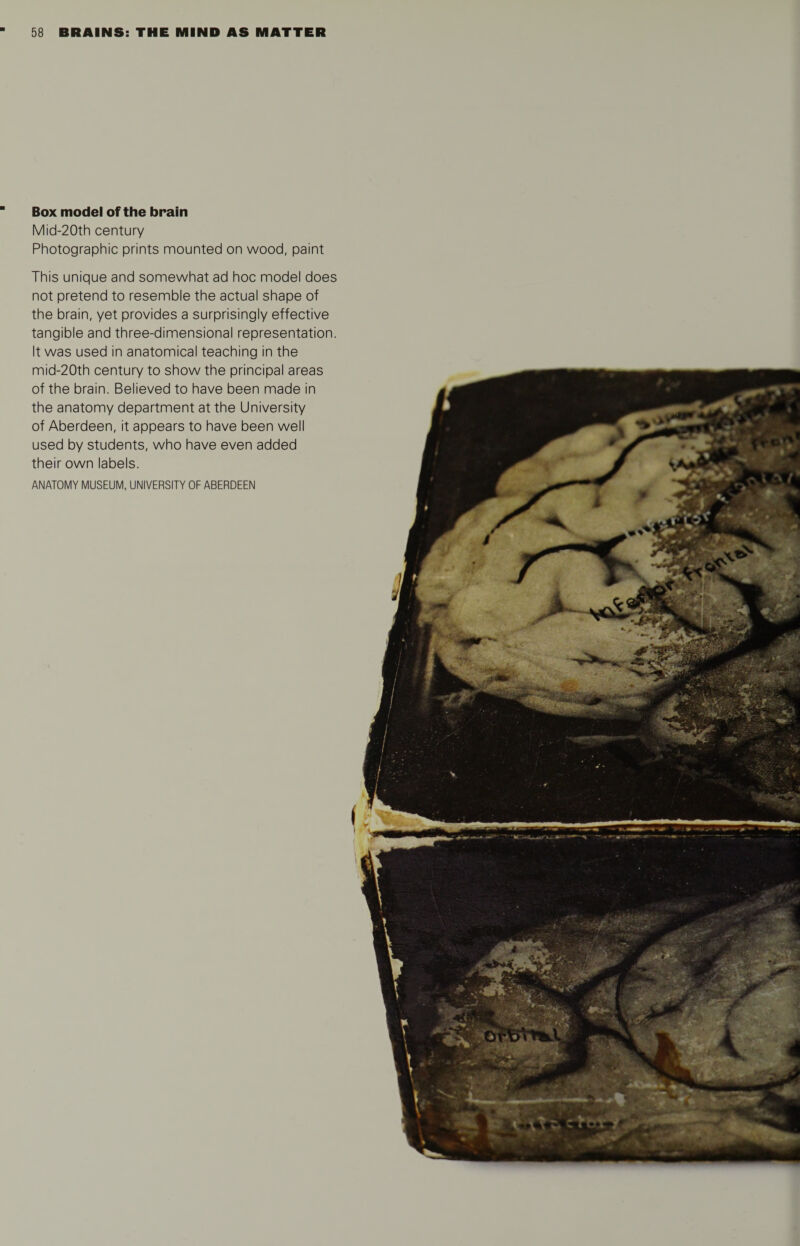 Box model of the brain Mid-20th century Photographic prints mounted on wood, paint This unique and somewhat ad hoc model does not pretend to resemble the actual shape of the brain, yet provides a surprisingly effective tangible and three-dimensional representation. It was used in anatomical teaching in the mid-20th century to show the principal areas of the brain. Believed to have been made in the anatomy department at the University of Aberdeen, it appears to have been well used by students, who have even added their own labels. ANATOMY MUSEUM, UNIVERSITY OF ABERDEEN