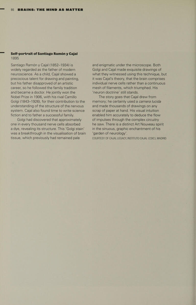 Self-portrait of Santiago Ramon y Cajal 1895 Santiago Ramon y Cajal (1852-1934) is widely regarded as the father of modern neuroscience. As a child, Cajal showed a precocious talent for drawing and painting, but his father disapproved of an artistic career, so he followed the family tradition and became a doctor. He jointly won the Nobel Prize in 1906, with his rival Camillo Golgi (1843-1926), for their contribution to the understanding of the structure of the nervous system. Cajal also found time to write science fiction and to father a successful family. Golgi had discovered that approximately one in every thousand nerve cells absorbed a dye, revealing its structure. This 'Golgi stain' was a breakthrough in the visualisation of brain and enigmatic under the microscope. Both Golgi and Cajal made exquisite drawings of what they witnessed using this technique, but it was Cajal's theory, that the brain comprises individual nerve cells rather than a continuous mesh of filaments, which triumphed. His 'neuron doctrine' still stands. The story goes that Cajal drew from memory; he certainly used a camera lucida and made thousands of drawings on any scrap of paper at hand. His visual intuition enabled him accurately to deduce the flow of impulses through the complex circuitry he saw. There is a distinct Art Nouveau spirit in the sinuous, graphic enchantment of his 'garden of neurology'.