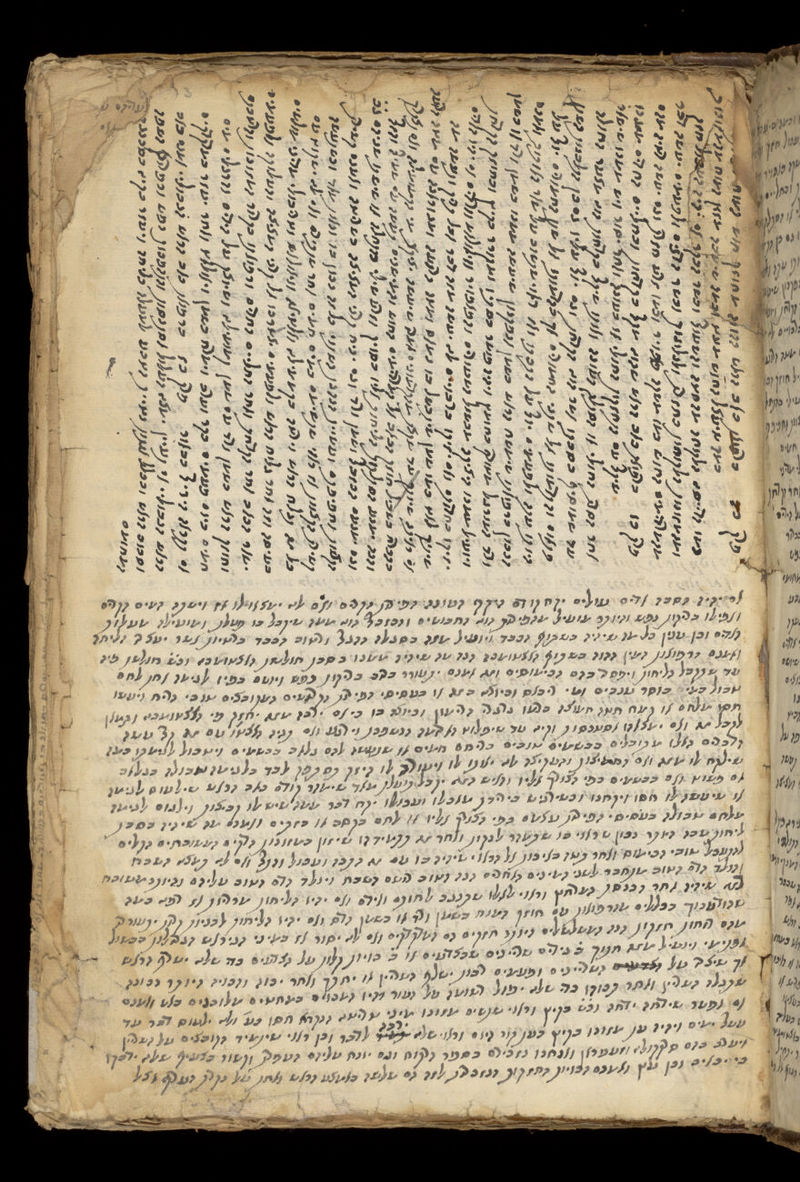 No text description is available for this image