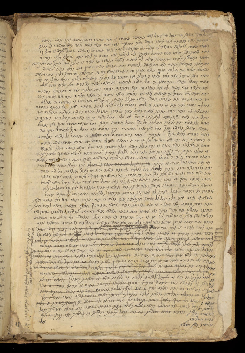 No text description is available for this image