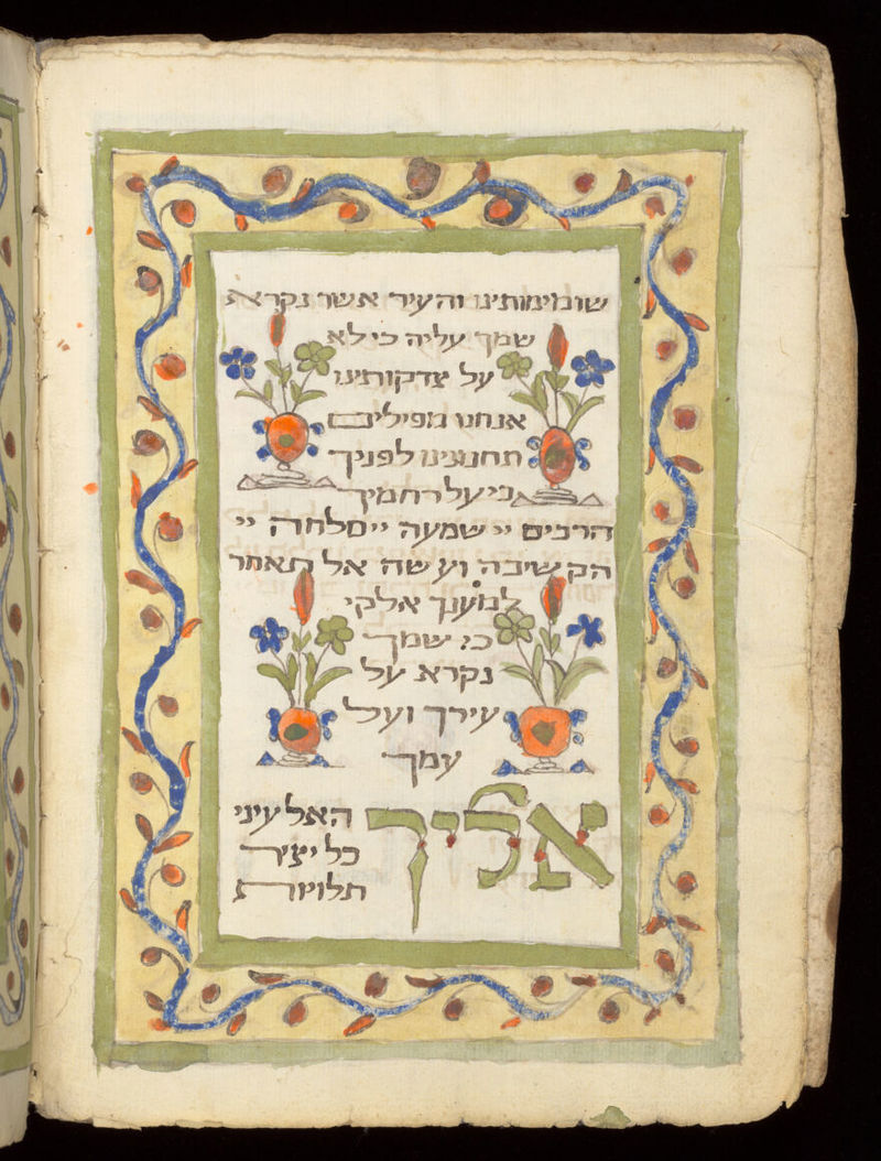 No text description is available for this image