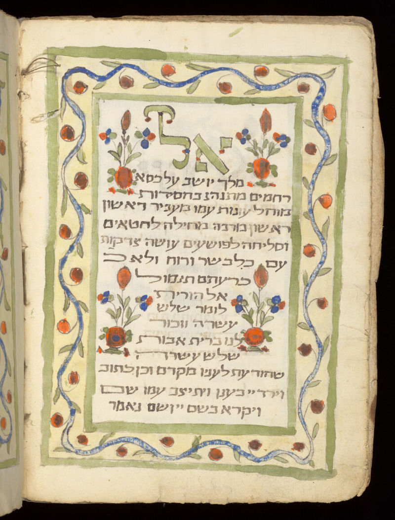 No text description is available for this image