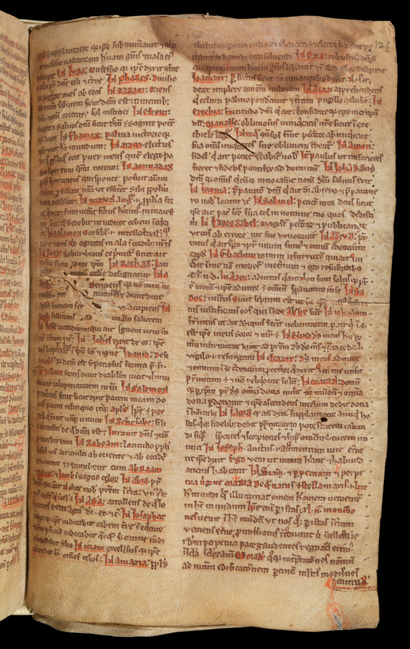 No text description is available for this image