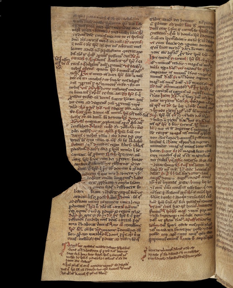 No text description is available for this image