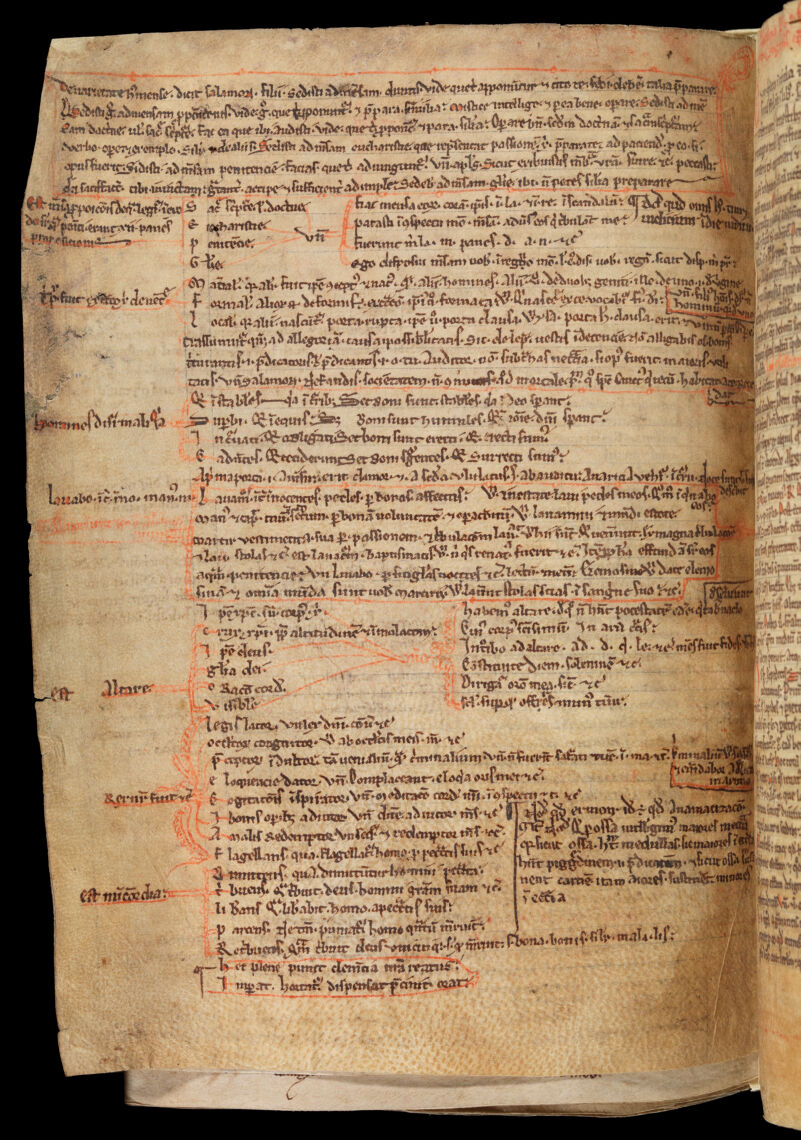 No text description is available for this image