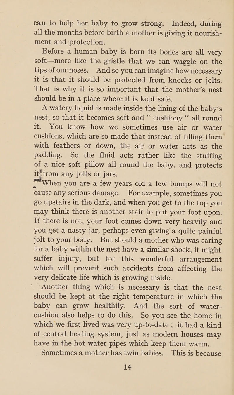 can to help her baby to grow strong. Indeed, during all the months before birth a mother is giving it nourish- ment and protection. Before a human baby is born its bones are all very soft—more like the gristle that we can waggle on the tips of our noses. And so you can imagine how necessary it is that it should be protected from knocks or jolts. That is why it is so important that the mother’s nest should be in a place where it is kept safe. A watery liquid is made inside the lining of the baby’s nest, so that it becomes soft and “ cushiony ”’ all round it. You know how we sometimes use air or water cushions, which are so made that instead of filling them with feathers or down, the air or water acts as the padding. So the fluid acts rather like the stuffing of a nice soft pillow all round the baby, and protects it?from any jolts or jars. s When you are a few years old a few bumps will not cause any serious damage. For example, sometimes you go upstairs in the dark, and when you get to the top you may think there is another stair to put your foot upon. If there is not, your foot comes down very heavily and you get a nasty jar, perhaps even giving a quite painful jolt to your body. But should a mother who was caring for a baby within the nest have a similar shock, it might suffer injury, but for this wonderful arrangement which will prevent such accidents from affecting the very delicate life which is growing inside. ‘Another thing which is necessary is that the nest should be kept at the right temperature in which the baby can grow healthily. And the sort of water- cushion also helps to do this. So you see the home in which we first lived was very up-to-date ; it had a kind of central heating system, just as modern houses may have in the hot water pipes which keep them warm. Sometimes a mother has twin babies. This is because \