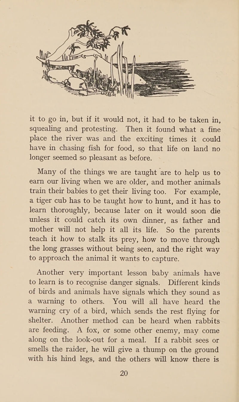 it to go in, but if it would not, it had to be taken in, squealing and protesting. Then it found what a fine place the river was and the exciting times it could have in chasing fish for food, so that life on land no longer seemed so pleasant as before. Many of the things we are taught are to help us to earn our living when we are older, and mother animals train their babies to get their living too. For example, a tiger cub has to be taught how to hunt, and it has to learn thoroughly, because later on it would soon die unless it could catch its own dinner, as father and mother will not help it all its life. So the parents teach it how to stalk its prey, how to move through the long grasses without being seen, and the right way to approach the animal it wants to capture. Another very important lesson baby animals have to learn is to recognise danger signals. Different kinds of birds and animals have signals which they sound as a warning to others. You will all have heard the warning cry of a bird, which sends the rest flying for shelter. Another method can be heard when rabbits are feeding. A fox, or some other enemy, may come along on the look-out for a meal. If a rabbit sees or smells the raider, he will give a thump on the ground with his hind legs, and the others will know there is