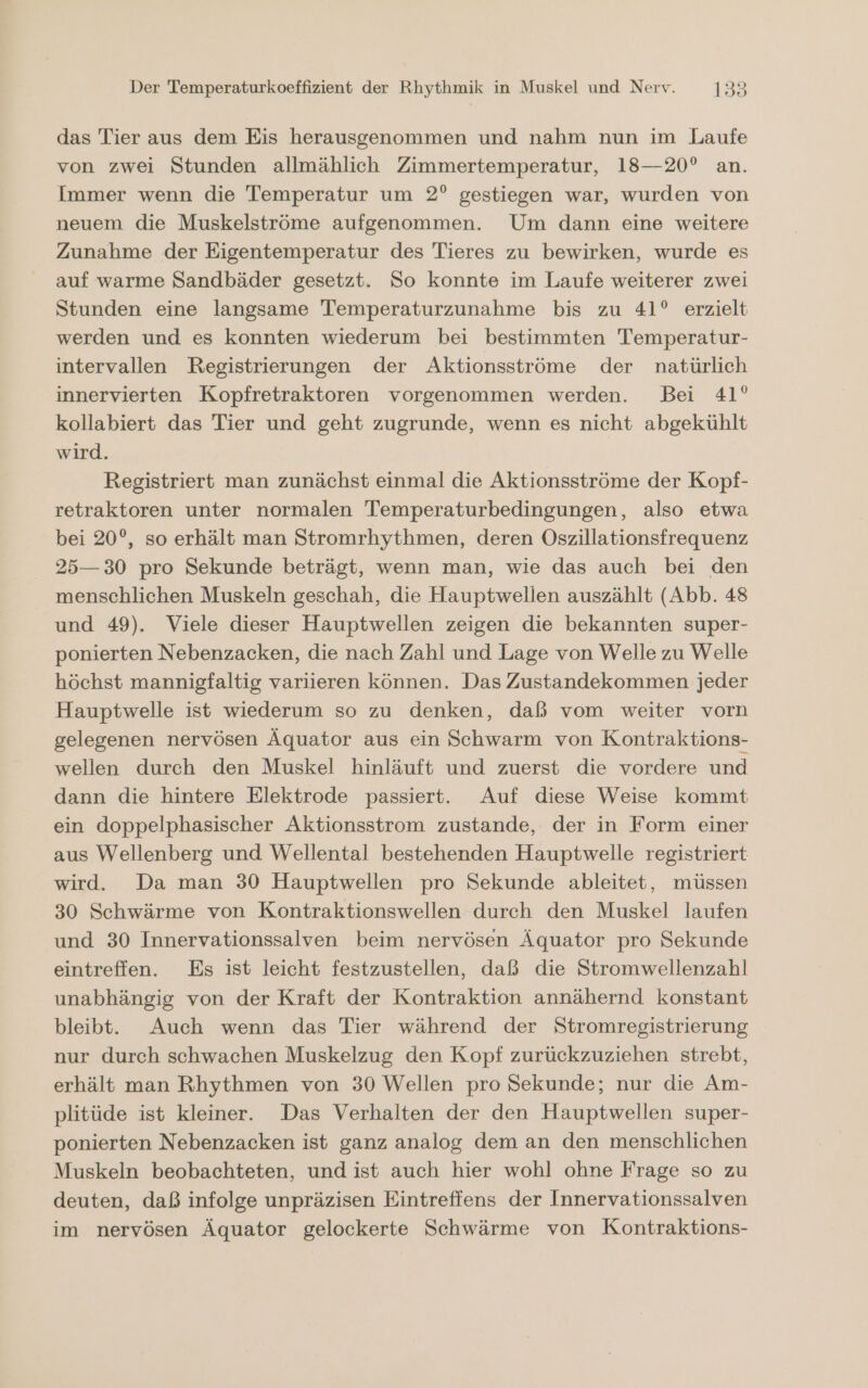 das Tier aus dem Eis herausgenommen und nahm nun im Laufe von zwei Stunden allmählich Zimmertemperatur, 18—20° an. Immer wenn die Temperatur um 2° gestiegen war, wurden von neuem die Muskelströme aufgenommen. Um dann eine weitere Zunahme der Eigentemperatur des Tieres zu bewirken, wurde es auf warme Sandbäder gesetzt. So konnte im Laufe weiterer zwei Stunden eine langsame Temperaturzunahme bis zu 41° erzielt werden und es konnten wiederum bei bestimmten Temperatur- intervallen Registrierungen der Aktionsströme der natürlich innervierten Kopfretraktoren vorgenommen werden. Bei 41° kollabiert das Tier und geht zugrunde, wenn es nicht abgekühlt wird. Registriert man zunächst einmal die Aktionsströme der Kopf- retraktoren unter normalen Temperaturbedingungen, also etwa bei 20°, so erhält man Stromrhythmen, deren Oszillationsfrequenz 25—30 pro Sekunde beträgt, wenn man, wie das auch bei den menschlichen Muskeln geschah, die Hauptwellen auszählt (Abb. 48 und 49). Viele dieser Hauptwellen zeigen die bekannten super- ponierten Nebenzacken, die nach Zahl und Lage von Welle zu Welle höchst mannigfaltig variieren können. Das Zustandekommen jeder Hauptwelle ist wiederum so zu denken, daß vom weiter vorn gelegenen nervösen Äquator aus ein Schwarm von Kontraktions- wellen durch den Muskel hinläuft und zuerst die vordere und dann die hintere Elektrode passiert. Auf diese Weise kommt ein doppelphasischer Aktionsstrom zustande, der in Form einer aus Wellenberg und Wellental bestehenden Hauptwelle registriert wird. Da man 30 Hauptwellen pro Sekunde ableitet, müssen 30 Schwärme von Kontraktionswellen durch den Muskel laufen und 30 Innervationssalven beim nervösen Äquator pro Sekunde eintreffen. Es ist leicht festzustellen, daß die Stromwellenzahl unabhängig von der Kraft der Kontraktion annähernd konstant bleibt. Auch wenn das Tier während der Stromregistrierung nur durch schwachen Muskelzug den Kopf zurückzuziehen strebt, erhält man Rhythmen von 30 Wellen pro Sekunde; nur die Am- plitüde ist kleiner. Das Verhalten der den Hauptwellen super- ponierten Nebenzacken ist ganz analog dem an den menschlichen Muskeln beobachteten, und ist auch hier wohl ohne Frage so zu deuten, daß infolge unpräzisen Eintrefiens der Innervationssalven im nervösen Äquator gelockerte Schwärme von Kontraktions-