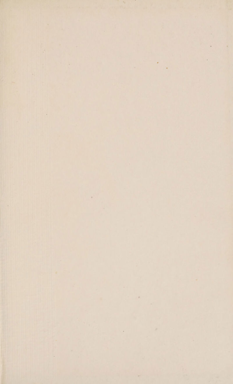 — ee ala iy gem 4*. —— alliemae ede ine Sateen, Sete. ne, Be > ad ao ——— ek. >> SOW . -~~ra— — ed p Pee =o —-> — el ne YS ee aa w “a ‘er ’ 7