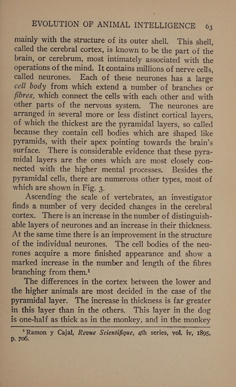 \ EVOLUTION OF ANIMAL INTELLIGENCE 63 mainly with the structure of its outer shell. This shell, called the cerebral cortex, is known to be the part of the brain, or cerebrum, most intimately associated with the operations of the mind. It contains millions of nerve cells, called neurones. Each of these neurones has a large cell body from which extend a number of branches or fibres, which connect the cells with each other and with other parts of the nervous system. The neurones are arranged in several more or less distinct cortical layers, of which the thickest are the pyramidal layers, so called because they contain cell bodies which are shaped like pyramids, with their apex pointing towards the brain’s surface. There is considerable evidence that these pyra- midal layers are the ones which are most closely con- nected with the higher mental processes. Besides the pyramidal cells, there are numerous other types, most of which are shown in Fig. 3. Ascending the scale of vertebrates, an investigator finds a number of very decided changes in the cerebral cortex. There is an increase in the number of distinguish- able layers of neurones and an increase in their thickness. At the same time there is an improvement in the structure of the individual neurones. The cell bodies of the neu- rones acquire a more finished appearance and show a marked increase in the number and length of the fibres branching from them.! The differences in the cortex between the lower and the higher animals are most decided in the case of the pyramidal layer. The increase in thickness is far greater in this layer than in the others. This layer in the dog is one-half as thick as in the monkey, and in the monkey prams y Cajal, Revue Scientifique, 4th series, vol. iv, 1895, p. 700.