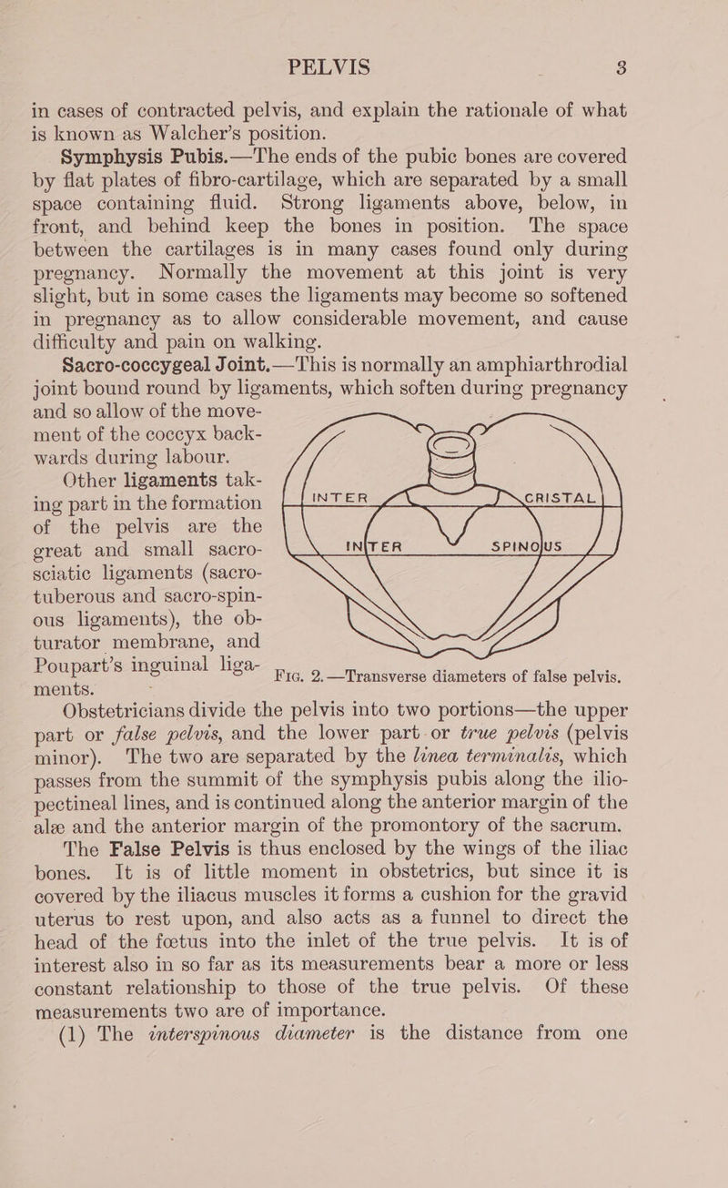 in cases of contracted pelvis, and explain the rationale of what is known as Walcher’s position. Symphysis Pubis.—The ends of the pubic bones are covered by flat plates of fibro-cartilage, which are separated by a small space containing fluid. Strong ligaments above, below, in front, and behind keep the bones in position. The space between the cartilages is in many cases found only during pregnancy. Normally the movement at this joint is very slight, but in some cases the ligaments may become so softened in pregnancy as to allow considerable movement, and cause difficulty and pain on walking. Sacro-coccygeal Joint.—This is normally an amphiarthrodial joint bound round by ligaments, which soften during pregnancy and so allow of the move- ment of the coccyx back- CS = wards during labour. AN Other ligaments tak- ee ea) ing part in the formation of the pelvis are the great and small sacro- sciatic ligaments (sacro- tuberous and sacro-spin- ous ligaments), the ob- turator membrane, and Poupart’s eon liga- ments. Obstetricians divide the pelvis into two portions—the upper part or false pelvis, and the lower part or true pelvis (pelvis minor). The two are separated by the /enea terminalis, which passes from the summit of the symphysis pubis along the ilio- pectineal lines, and is continued along the anterior margin of the alee and the anterior margin of the promontory of the sacrum. The False Pelvis is thus enclosed by the wings of the iliac bones. It is of little moment in obstetrics, but since it is covered by the iliacus muscles it forms a cushion for the gravid uterus to rest upon, and also acts as a funnel to direct the head of the foetus into the inlet of the true pelvis. It is of interest also in so far as its measurements bear a more or less constant relationship to those of the true pelvis. Of these measurements two are of importance. (1) The «nterspinows drameter is the distance from one Fic. 2.—Transverse diameters of false pelvis.