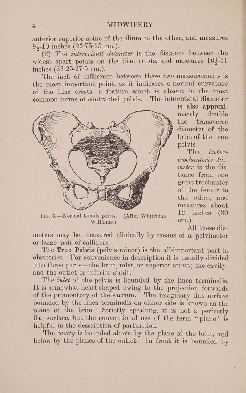 anterior superior spine of the ilium to the other, and measures 94-10 inches (23°75-25 cm.). (2) The tntercristal diameter is the distance between the widest apart points on the iliac crests, and measures 103-11 inches (26°25-27°5 cm.). The inch of difference between these two measurements is the most important point, as it indicates a normal curvature of the iliac crests, a feature which is absent in the most common forms of contracted pelvis. The intercristal diameter is also approxi- mately double the transverse diameter of the brim of the true pelvis. The «nter- trochanteric dia- meter is the dis- tance from one great trochanter of the femur to the other, and measures about Fic. 3.—Normal female pelvis. (After Whitridge 12 inches (30 Williams.) cm. ). All these dia- meters may be measured clinically by means of a pelvimeter or large pair of callipers. The True Pelvis (pelvis minor) is the all-important part in obstetrics. For convenience in description it is usually divided into three parts—the brim, inlet, or superior strait; the cavity; and the outlet or inferior strait. The enlet of the pelvis is bounded by the linea terminalis. It is somewhat heart-shaped owing to the projection forwards of the promontory of the sacrum. The imaginary flat surface bounded by the linea terminalis on either side is known as the plane of the brim. Strictly speaking, it is not a perfectly flat surface, but the conventional use of the term “plane” is helpful in the description of parturition. . The cavity is bounded above by the plane of the brim, and below by the planes of the outlet. In front it is bounded by