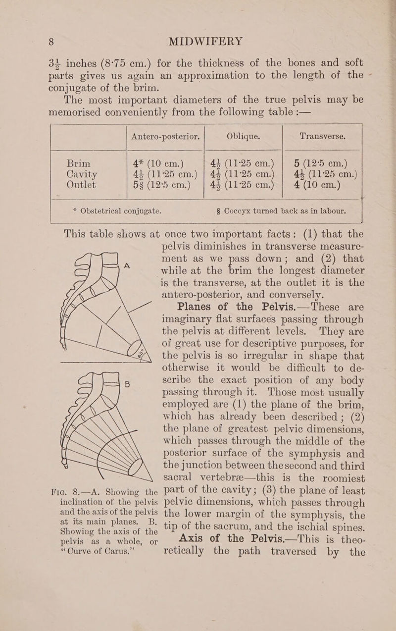 parts gives us again an approximation to the length of the - Brim 4* (10 cm.) 43 (11:25 cm.) | 5 (12°5 em.) Cavity 43 (11:25 cm.) | 4§ (11°25 cm.) | 44 (11:25 em.) Outlet 5§ (125 cm.) | 45 (11:25 cm.) 4 (10 cm.) * Obstetrical conjugate. § Coccyx turned back as in labour. Fie, 8.—A. Showing the inclination of the pelvis and the axis of the pelvis at its main planes. B, Showing the axis of the pelvis as a whole, or “Curve of Carus.” pelvis diminishes in transverse measure- ment as we pass down; and (2) that while at the ah the longest diameter is the transverse, at the outlet it is the antero-posterior, and conversely. Planes of the Pelvis.—These are imaginary flat surfaces passing through the pelvis at different levels. They are of great use for descriptive purposes, for the pelvis is so irregular in shape that otherwise it would be difficult to de- scribe the exact position of any body passing through it. Those most usually employed are (1) the plane of the brim, which has already been described ; (2) the plane of greatest pelvic dimensions, which passes through the middle of the posterior surface of the symphysis and the junction between the second and third sacral vertebre—this is the roomiest part of the cavity; (3) the plane of least pelvic dimensions, which passes through the lower margin of the symphysis, the tip of the sacrum, and the ischial spines. Axis of the Pelvis—This is theo- retically the path traversed by the