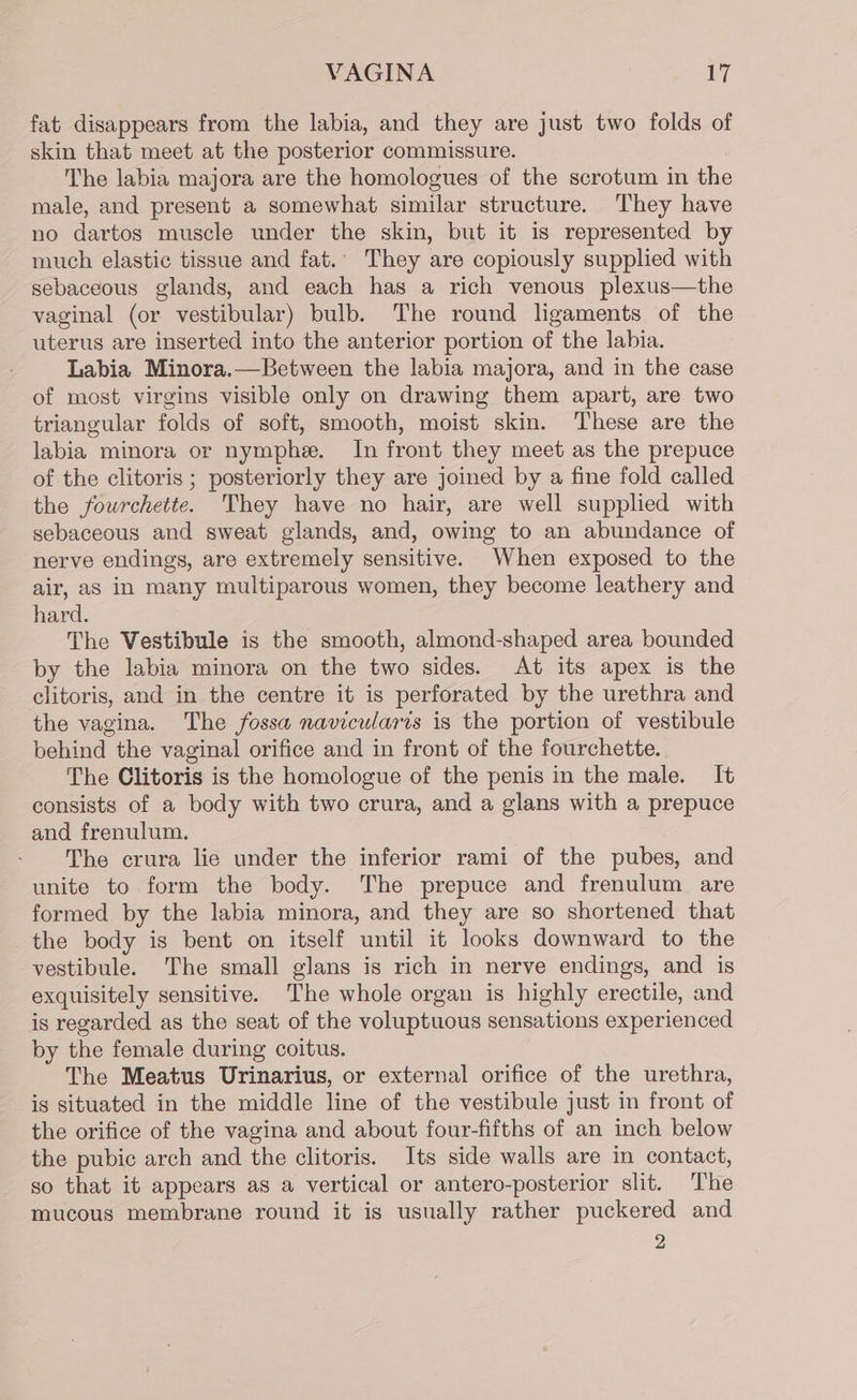 fat disappears from the labia, and they are just two folds of skin that meet at the posterior commissure. The labia majora are the homologues of the scrotum in the male, and present a somewhat similar structure. They have no dartos muscle under the skin, but it is represented by much elastic tissue and fat.’ They are copiously supplied with sebaceous glands, and each has a rich venous plexus—the vaginal (or vestibular) bulb. The round ligaments of the uterus are inserted into the anterior portion of the labia. Labia Minora.—Between the labia majora, and in the case of most virgins visible only on drawing them apart, are two triangular folds of soft, smooth, moist skin. These are the labia minora or nymphe. In front they meet as the prepuce of the clitoris ; posteriorly they are joined by a fine fold called the fouwrchette. They have no hair, are well supplied with sebaceous and sweat glands, and, owing to an abundance of nerve endings, are extremely sensitive. When exposed to the air, as in many multiparous women, they become leathery and hard. The Vestibule is the smooth, almond-shaped area bounded by the labia minora on the two sides. At its apex is the clitoris, and in the centre it is perforated by the urethra and the vagina. The fossa navicularis is the portion of vestibule behind the vaginal orifice and in front of the fourchette. The Clitoris is the homologue of the penis in the male. It consists of a body with two crura, and a glans with a prepuce and frenulum. The crura lie under the inferior rami of the pubes, and unite to form the body. The prepuce and frenulum are formed by the labia minora, and they are so shortened that the body is bent on itself until it looks downward to the vestibule. The small glans is rich in nerve endings, and is exquisitely sensitive. The whole organ is highly erectile, and is regarded as the seat of the voluptuous sensations experienced by the female during coitus. The Meatus Urinarius, or external orifice of the urethra, is situated in the middle line of the vestibule just in front of the orifice of the vagina and about four-fifths of an inch below the pubic arch and the clitoris. Its side walls are in contact, so that it appears as a vertical or antero-posterior slit. The mucous membrane round it is usually rather puckered and 2