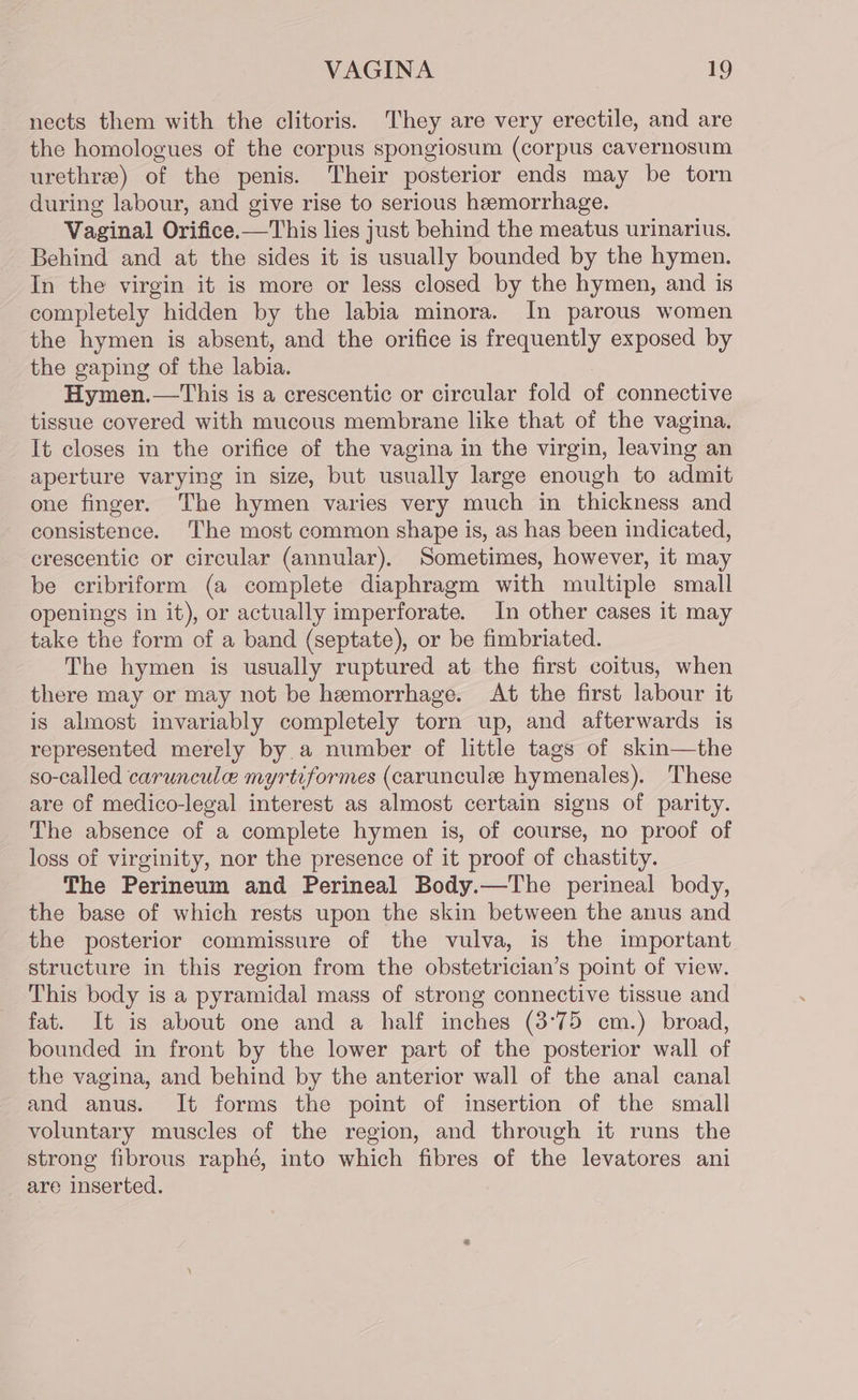 nects them with the clitoris. They are very erectile, and are the homologues of the corpus spongiosum (corpus cavernosum urethre) of the penis. Their posterior ends may be torn during labour, and give rise to serious hemorrhage. Vaginal Orifice.—This lies just behind the meatus urinarius. Behind and at the sides it is usually bounded by the hymen. In the virgin it is more or less closed by the hymen, and is completely hidden by the labia minora. In parous women the hymen is absent, and the orifice is frequently exposed by the gaping of the labia. Hymen.—This is a crescentic or circular fold of connective tissue covered with mucous membrane like that of the vagina. It closes in the orifice of the vagina in the virgin, leaving an aperture varying in size, but usually large enough to admit one finger. The hymen varies very much in thickness and consistence. The most common shape is, as has been indicated, crescentic or circular (annular). Sometimes, however, it may be cribriform (a complete diaphragm with multiple small openings in it), or actually imperforate. In other cases it may take the form of a band (septate), or be fimbriated. The hymen is usually ruptured at the first coitus, when there may or may not be hemorrhage. At the first labour it is almost invariably completely torn up, and afterwards is represented merely by a number of little tags of skin—the so-called caruncule myrtvformes (caruncule hymenales). These are of medico-legal interest as almost certain signs of parity. The absence of a complete hymen is, of course, no proof of loss of virginity, nor the presence of it proof of chastity. The Perineum and Perineal Body.—The perineal body, the base of which rests upon the skin between the anus and the posterior commissure of the vulva, is the important structure in this region from the obstetrician’s point of view. This body is a pyramidal mass of strong connective tissue and fat. It is about one and a half inches (3°75 cm.) broad, bounded in front by the lower part of the posterior wall of the vagina, and behind by the anterior wall of the anal canal and anus. It forms the point of insertion of the small voluntary muscles of the region, and through it runs the strong fibrous raphé, into which fibres of the levatores ani are inserted.