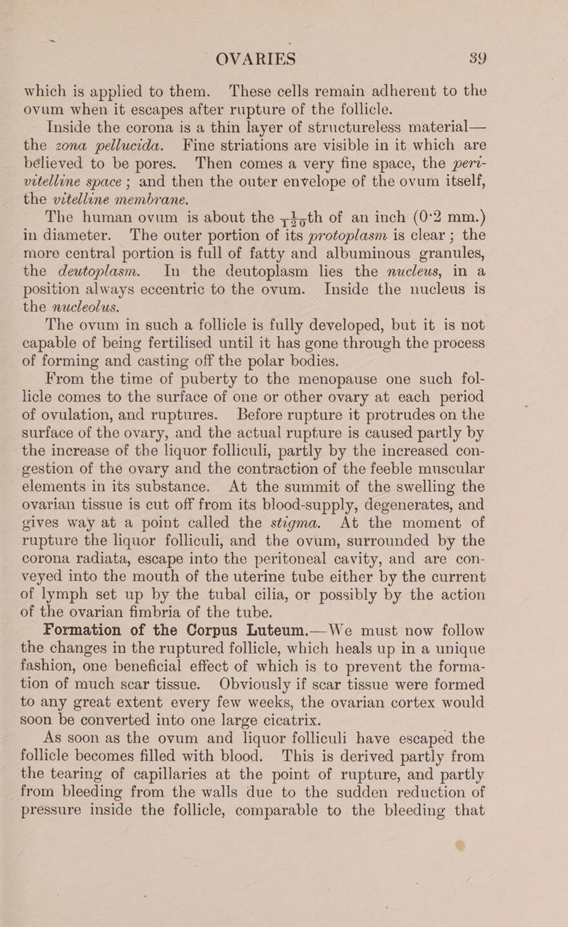 which is applied to them. These cells remain adherent to the ovum when it escapes after rupture of the follicle. Inside the corona is a thin layer of structureless material— the zona pellucida. Fine striations are visible in it which are believed to be pores. Then comes a very fine space, the pert- vitelline space ; and then the outer envelope of the ovum itself, the vetelline membrane. The human ovum is about the ;3 5th of an inch (0°2 mm.) in diameter. The outer portion of its protoplasm is clear ; the more central portion is full of fatty and albuminous granules, the deutoplasm. In the deutoplasm lies the nucleus, in a position always eccentric to the ovum. Inside the nucleus is the nucleolus. The ovum in such a follicle is fully developed, but it is not capable of being fertilised until it has gone through the process of forming and casting off the polar bodies. From the time of puberty to the menopause one such fol- licle comes to the surface of one or other ovary at each period of ovulation, and ruptures. Before rupture it protrudes on the surface of the ovary, and the actual rupture is caused partly by the increase of the liquor folliculi, partly by the increased con- -gestion of the ovary and the contraction of the feeble muscular elements in its substance. At the summit of the swelling the ovarian tissue is cut off from its blood-supply, degenerates, and gives way at a point called the stigma. At the moment of rupture the liquor folliculi, and the ovum, surrounded by the corona radiata, escape into the peritoneal cavity, and are con- veyed into the mouth of the uterine tube either by the current of lymph set up by the tubal cilia, or possibly by the action of the ovarian fimbria of the tube. Formation of the Corpus Luteum.—We must now follow the changes in the ruptured follicle, which heals up in a unique fashion, one beneficial effect of which is to prevent the forma- tion of much scar tissue. Obviously if scar tissue were formed to any great extent every few weeks, the ovarian cortex would soon be converted into one large cicatrix. As soon as the ovum and liquor folliculi have escaped the follicle becomes filled with blood. This is derived partly from the tearing of capillaries at the point of rupture, and partly from bleeding from the walls due to the sudden reduction of pressure inside the follicle, comparable to the bleeding that