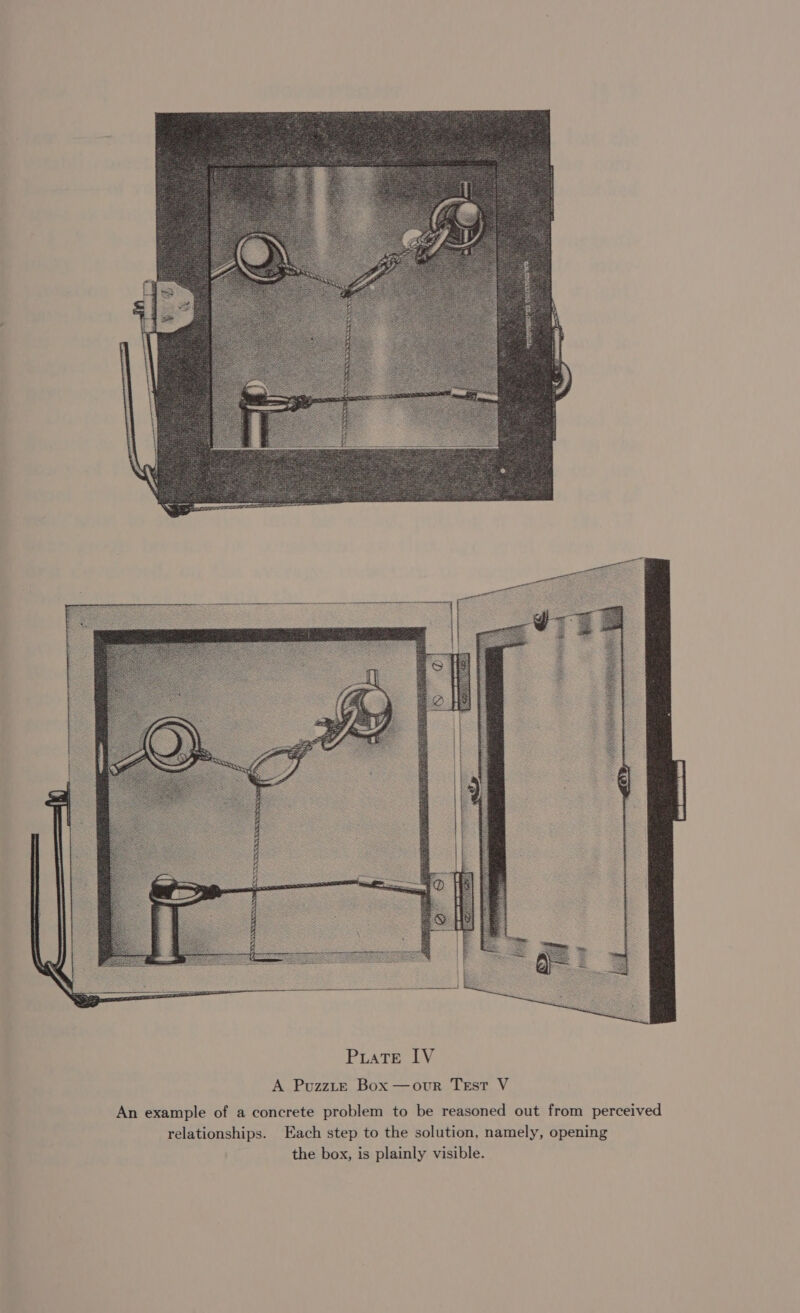 yy LEA Puate IV A Puzzite Box —our Test V An example of a concrete problem to be reasoned out from perceived relationships. Each step to the solution, namely, opening the box, is plainly visible.