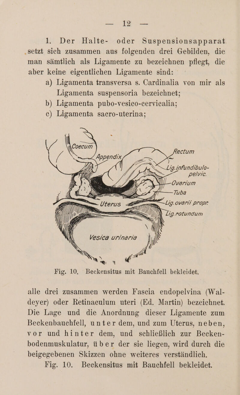 BB 1. Der Halte- oder Suspensionsapparat „setzt sich zusammen aus folgenden drei Gebilden, die man sämtlich als Ligamente zu bezeichnen pflegt, die aber keine eigentlichen Ligamente sind: a) Ligamenta transversa s. Cardinalia von mir als Ligamenta suspensoria bezeichnet; b) Ligamenta pubo-vesico-cervicalia; c) Ligamenta saero-uterina; l an / N i ne 7} AS ni infundibulo- ES re — )\ 0 = I N N Lig. rotuncum pelvrc. Ovarium Tuba Lig. ovaril PrOprR \ı Vesica urinaria A an .“ Fig. 10. Beckensitus mit Bauchfell bekleidet. {! \ INN alle drei zusammen werden Fascia endopelvina (Wal- deyer) oder Retinaculum uteri (Ed. Martin) bezeichnet. Die Lage und die Anordnung dieser Ligamente zum Beckenbauchfell, unter dem, und zum Uterus, neben, vor und hinter dem, und schließlich zur Becken- bodenmuskulatur, über der sie liegen, wird durch die beigegebenen Skizzen ohne weiteres verständlich. Fig. 10. Beckensitus mit Bauchfell bekleidet.