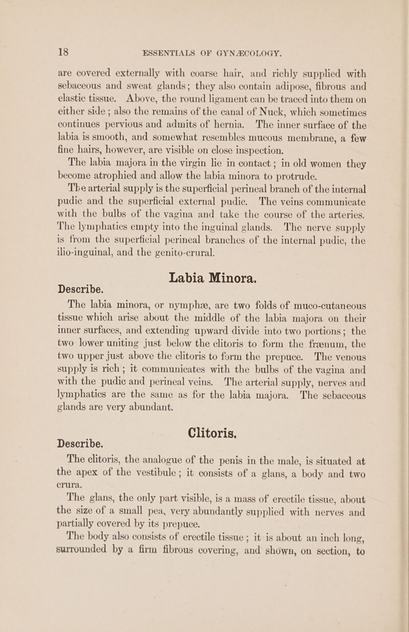 are covered externally with coarse hair, and richly supplied with sebaceous and sweat glands; they also contain adipose, fibrous and elastic tissue. Above, the round ligament can be traced into them on either side ; also the remains of the canal of Nuck, which sometimes continues pervious and admits of hernia. The inner surface of the labia is smooth, and somewhat resembles mucous membrane, a few fine hairs, however, are visible on close inspection. The labia majora in the virgin lie in contact ; in old women they become atrophied and allow the labia minora to protrude. Tbe arterial supply is the superficial perineal branch of the internal pudic and the superficial external pudic. The veins communicate with the bulbs of the vagina and take the course of the arteries. The lymphatics empty into the inguinal glands. The nerve supply is from the superficial perineal branches of the internal pudic, the ilio-inguinal, and the genito-crural. Labia Minora. Describe. The labia minora, or nymphee, are two folds ef muco-cutaneous tissue which arise about the middle of the labia majora on their inner surfaces, and extending upward divide into two portions; the two lower uniting just below the clitoris to form the fraenum, the two upper just above the clitoris to form the prepuce. The venous supply is rich ; it communicates with the bulbs of the vagina and with the pudic and perineal veins. The arterial supply, nerves and lymphatics are the same as for the labia majora. The sebaceous glands are very abundant. Clitoris. Describe. The clitoris, the analogue of the penis in the male, is situated at the apex of the vestibule ; it consists of a glans, a body and two crura. The glans, the only part visible, is a mass of erectile tissue, about the size of a small pea, very abundantly supplied with nerves and partially covered by its prepuce. The body also consists of erectile tissue ; it is about an inch long, surrounded by a firm fibrous covering, and shown, on section, to