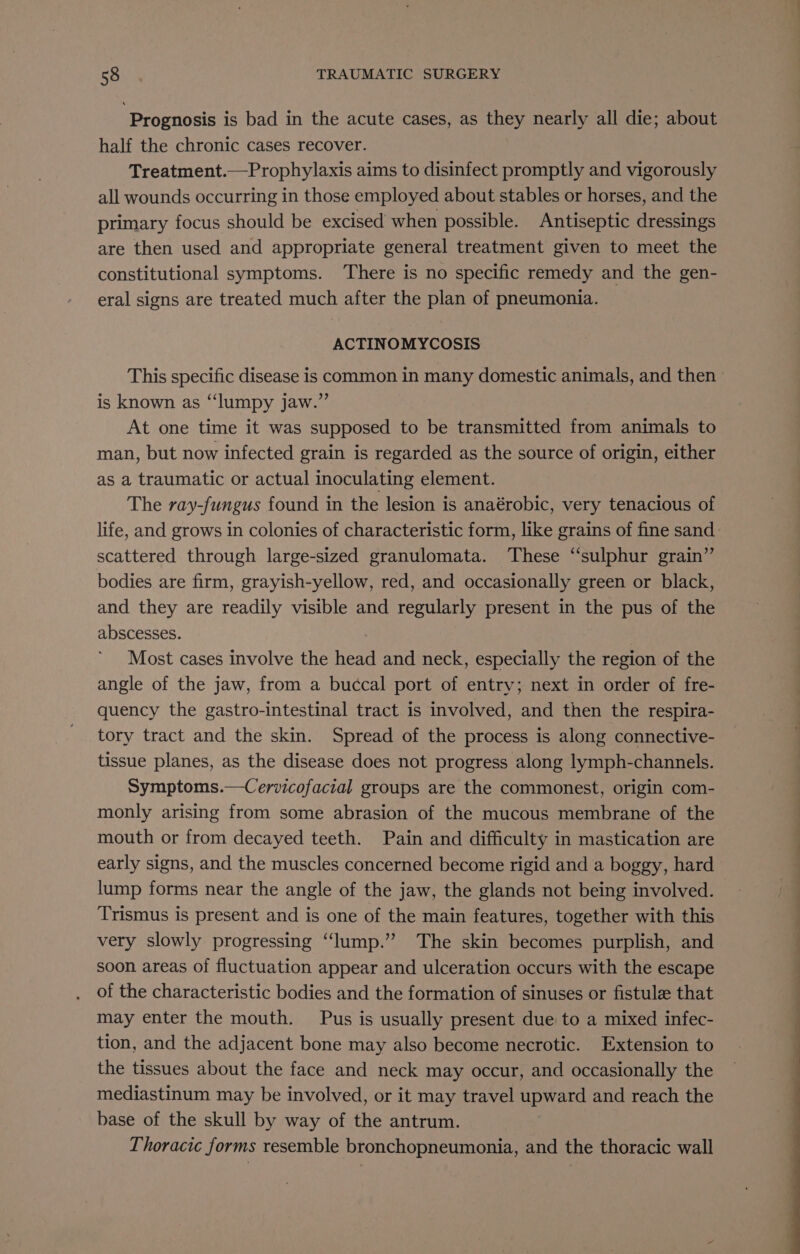 Prognosis is bad in the acute cases, as they nearly all die; about half the chronic cases recover. Treatment.—Prophylaxis aims to disinfect promptly and vigorously all wounds occurring in those employed about stables or horses, and the primary focus should be excised when possible. Antiseptic dressings are then used and appropriate general treatment given to meet the constitutional symptoms. ‘There is no specific remedy and the gen- eral signs are treated much after the plan of pneumonia. ACTINOMYCOSIS is known as ‘“‘lumpy jaw.” At one time it was supposed to be transmitted from animals to man, but now infected grain is regarded as the source of origin, either as a traumatic or actual inoculating element. The ray-fungus found in the lesion is anaérobic, very tenacious of life, and grows in colonies of characteristic form, like grains of fine sand scattered through large-sized granulomata. These “sulphur grain” bodies are firm, grayish-yellow, red, and occasionally green or black, and they are readily visible and regularly present in the pus of the abscesses. Most cases involve the head and neck, especially the region of the angle of the jaw, from a buccal port of entry; next in order of fre- quency the gastro-intestinal tract is involved, and then the respira- tory tract and the skin. Spread of the process is along connective- tissue planes, as the disease does not progress along lymph-channels. Symptoms.—Cervicofacial groups are the commonest, origin com- monly arising from some abrasion of the mucous membrane of the mouth or from decayed teeth. Pain and difficulty in mastication are early signs, and the muscles concerned become rigid and a boggy, hard lump forms near the angle of the jaw, the glands not being involved. Trismus is present and is one of the main features, together with this very slowly progressing “lump.” The skin becomes purplish, and soon areas of fluctuation appear and ulceration occurs with the escape of the characteristic bodies and the formation of sinuses or fistule that may enter the mouth. Pus is usually present due to a mixed infec- tion, and the adjacent bone may also become necrotic. Extension to the tissues about the face and neck may occur, and occasionally the mediastinum may be involved, or it may travel upward and reach the base of the skull by way of the antrum. Thoracic forms resemble bronchopneumonia, and the thoracic wall