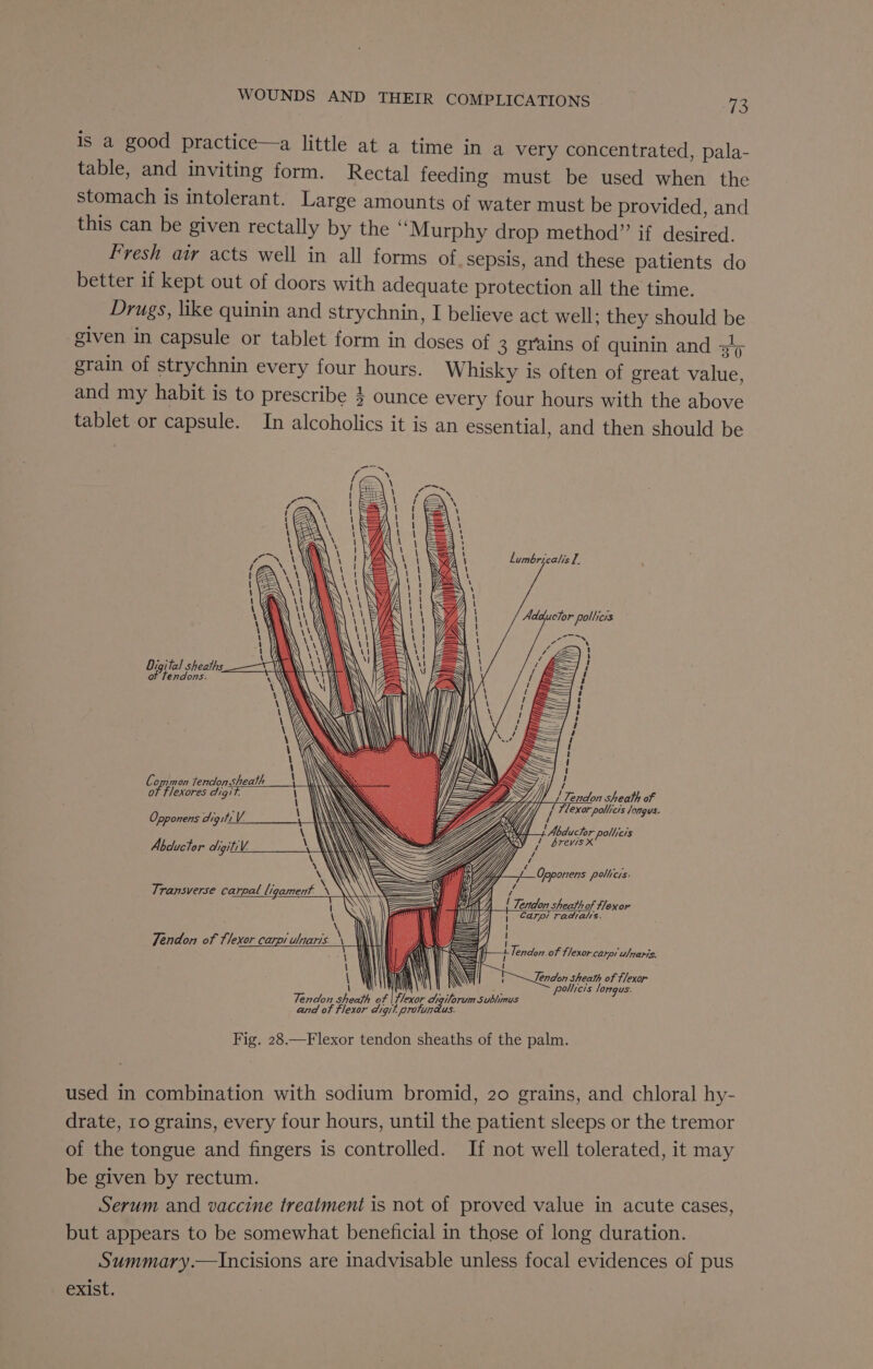 is a good practice—a little at a time in a very concentrated, pala- table, and inviting form. Rectal feeding must be used when the stomach is intolerant. Large amounts of water must be provided, and this can be given rectally by the “Murphy drop method” if desired. Fresh air acts well in all forms of, sepsis, and these patients do better if kept out of doors with adequate protection all the time. Drugs, like quinin and strychnin, I believe act well: they should be given in capsule or tablet form in doses of 3 grains of quinin and 3'&gt; grain of strychnin every four hours. Whisky is often of great value, and my habit is to prescribe } ounce every four hours with the above tablet or capsule. In alcoholics it is an essential, and then should be “ 2 os D) hones, -_—- —_ = -—- S me mr! aa iw ARS lumbricalis I. Ts a Wy Adductor pollicis \ ! / ~~, emer -“ N \ Oigital if ee LY ae) — en, SS ae oon, C ike Tendon sheath } ot flexores chigit. Fj | L Fandon sheath MF Opponens digit V. h\\ FI, Ajj / exor pollicis longus. \ ii , L ! Abductor pollicis Abductor digitiV. \ LYZ DS | brevis xX ‘ \\ \ BZ Z y if / i * ee —a hFD {1 Opponens pollicis. Transverse carpal ligament _\ 4 f Y 7 Y aa tI, Tendon sheath of flexor \\ { ie Carpi radialrs. \ We I y ; { \ e\ | Tendon of flexor carpi ulnaris. \ ’ | ; Tendon of flexor carpi ulmaris. { Lendon sheath of flexor \ ‘ sa pollicis longus. Tendon sheath of | flexor aigilorum Sublimus and of flexor digit protundus. Fig. 28.—Flexor tendon sheaths of the palm. used in combination with sodium bromid, 20 grains, and chloral hy- drate, 10 grains, every four hours, until the patient sleeps or the tremor of the tongue and fingers is controlled. be given by rectum. Serum and vaccine treatment is not of proved value in acute cases, but appears to be somewhat beneficial in those of long duration. Summary.—Incisions are inadvisable unless focal evidences of pus exist. If not well tolerated, it may