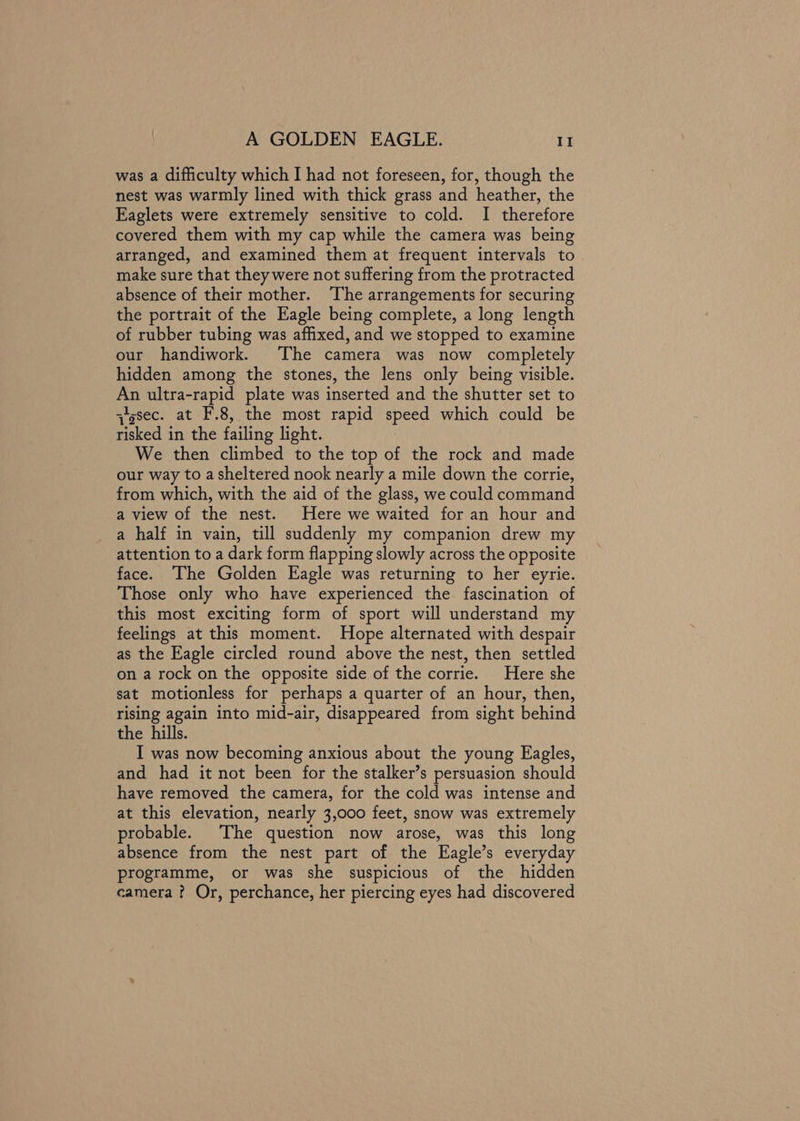was a difficulty which I had not foreseen, for, though the nest was warmly lined with thick grass and heather, the Eaglets were extremely sensitive to cold. I therefore covered them with my cap while the camera was being arranged, and examined them at frequent intervals to make sure that they were not suffering from the protracted absence of their mother. The arrangements for securing the portrait of the Eagle being complete, a long length of rubber tubing was affixed, and we stopped to examine our handiwork. The camera was now completely hidden among the stones, the lens only being visible. An ultra-rapid plate was inserted and the shutter set to qissec. at F'.8, the most rapid speed which could be risked in the failing light. We then climbed to the top of the rock and made our way to a sheltered nook nearly a mile down the corrie, from which, with the aid of the glass, we could command a view of the nest. Here we waited for an hour and a half in vain, till suddenly my companion drew my attention to a dark form flapping slowly across the opposite face. The Golden Eagle was returning to her eyrie. Those only who have experienced the fascination of this most exciting form of sport will understand my feelings at this moment. Hope alternated with despair as the Eagle circled round above the nest, then settled on a rock on the opposite side of the corrie. Here she sat motionless for perhaps a quarter of an hour, then, rising again into mid-air, disappeared from sight behind the hills. I was now becoming anxious about the young Eagles, and had it not been for the stalker’s persuasion should have removed the camera, for the cold was intense and at this elevation, nearly 3,000 feet, snow was extremely probable. The question now arose, was this long absence from the nest part of the Eagle’s everyday programme, or was she suspicious of the hidden camera ? Or, perchance, her piercing eyes had discovered
