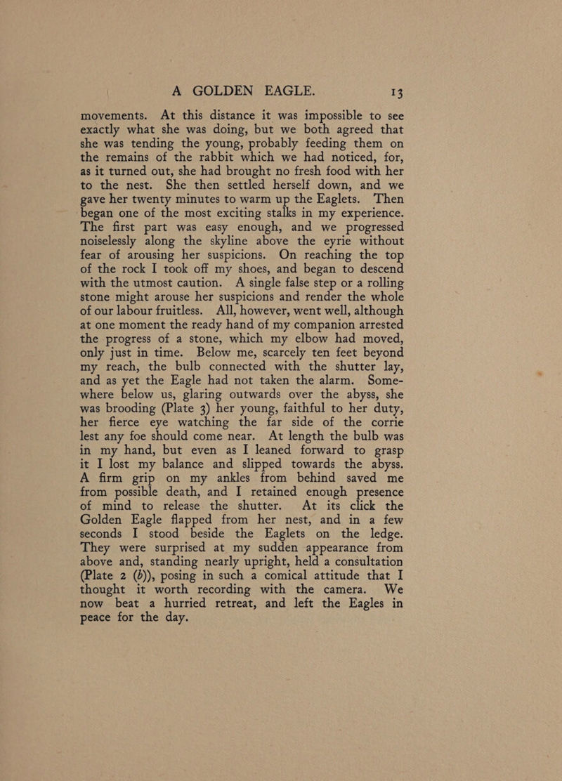 movements. At this distance it was impossible to see exactly what she was doing, but we both agreed that she was tending the young, probably feeding them on the remains of the rabbit which we had noticed, for, as it turned out, she had brought no fresh food with her to the nest. She then settled herself down, and we gave her twenty minutes to warm up the Eaglets. Then ‘began one of the most exciting stalks in my experience. The first part was easy enough, and we progressed noiselessly along the skyline above the eyrie without fear of arousing her suspicions. On reaching the top of the rock I took off my shoes, and began to descend with the utmost caution. A single false step or a rolling stone might arouse her suspicions and render the whole of our labour fruitless. All, however, went well, although at one moment the ready hand of my companion arrested the progress of a stone, which my elbow had moved, only just in time. Below me, scarcely ten feet beyond my reach, the bulb connected with the shutter lay, and as yet the Eagle had not taken the alarm. Some- where below us, glaring outwards over the abyss, she was brooding (Plate 3) her young, faithful to her duty, her fierce eye watching the far side of the corrie lest any foe should come near. At length the bulb was in my hand, but even as I leaned forward to grasp it I lost my balance and slipped towards the abyss. A firm grip on my ankles from behind saved me from possible death, and I retained enough presence of mind to release the shutter. At its click the Golden Eagle flapped from her nest, and in a few seconds I stood beside the Eaglets on the ledge. They were surprised at my sudden appearance from above and, standing nearly upright, held a consultation (Plate 2 (b)), posing in such a comical attitude that I thought it worth recording with the camera. We now beat a hurried retreat, and left the Eagles in peace for the day.