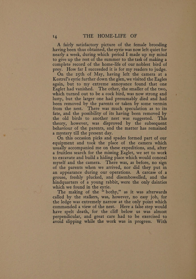 A fairly satisfactory picture of the female brooding having been thus obtained, the eyrie was now left quiet for nearly a week, during which period I made up my mind to give up the rest of the summer to the task of making a complete record of the home-life of our noblest bird of prey. How far I succeeded it is for my readers to judge. On the 25th of May, having left the camera at a Kestrel’s eyrie further down the glen, we visited the Eagles again, but to my extreme annoyance found that one Eaglet had vanished. ‘The other, the smaller of the two, which turned out to be a cock bird, was now strong and lusty, but the larger one had presumably died and had been removed by the parents or taken by some vermin from the nest. There was much speculation as to its fate, and the possibility of its having been removed by the old birds to another nest was suggested. ‘This theory, however, was disproved by the subsequent behaviour of the parents, and the matter has remained a mystery till the present day. | On this occasion picks and spades formed part of our equipment and took the place of the camera which usually accompanied me on these expeditions, and, after a fruitless search for the missing Eaglet, we set to work to excavate and build a hiding place which would conceal myself and the camera. There was, as before, no sign of the parents when we arrived, nor did they put in an appearance during our operations. A carcase of a grouse, freshly plucked, and disembowelled, and the hindquarters of a young rabbit, were the only dainties which we found in the eyrie. The making of the “ bothy,” as it was afterwards called by the stalkers, was, however, no easy job, for the ledge was extremely narrow at the only point which commanded a view of the nest. Here a false step would have spelt death, for the cliff below us was almost perpendicular, and great care had to be exercised to avoid slipping while the work was in progress. With