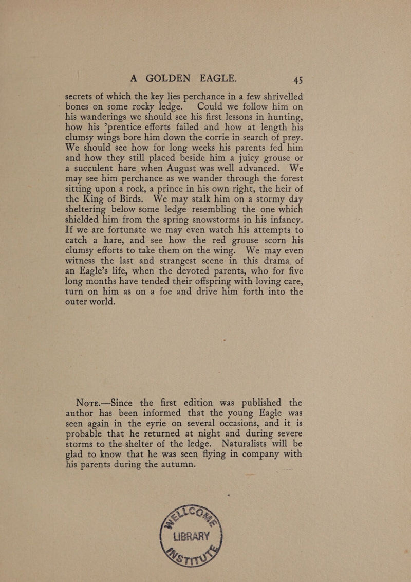 secrets of which the key lies perchance in a few shrivelled - bones on some rocky ledge. Could we follow him on his wanderings we should see his first lessons in hunting, how his ’prentice efforts failed and how at length his clumsy wings bore him down the corrie in search of prey. We should see how for long weeks his parents fed him and how they still placed beside him a juicy grouse or a succulent hare when August was well advanced. We may see him perchance as we wander through the forest sitting upon a rock, a prince in his own right, the heir of the King of Birds. We may stalk him on a stormy day sheltering below some ledge resembling the one which shielded him from the spring snowstorms in his infancy. If we are fortunate we may even watch his attempts to catch a hare, and see how the red grouse scorn his clumsy efforts to take them on the wing. We may even witness the last and strangest scene in this drama. of an Eagle’s life, when the devoted parents, who for five long months have tended their offspring with loving care, turn on him as on a foe and drive him forth into the outer world. Note.—Since the first edition was published the author has been informed that the young Eagle was seen again in the eyrie on several occasions, and it is probable that he returned at night and during severe storms to the shelter of the ledge. Naturalists will be glad to know that he was seen flying in company with his parents during the autumn.