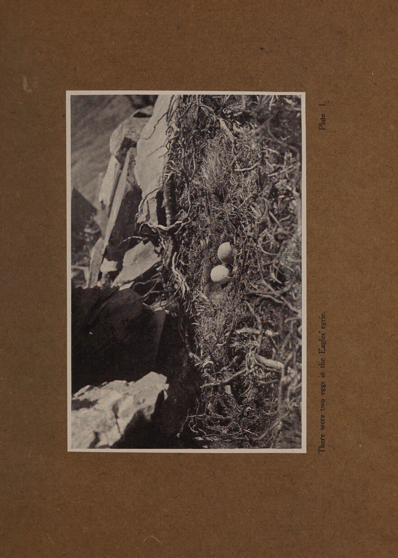 6 { ; > . i seh = h ’ 13) Ha ) » + 4 f wy ‘ =} Ag <m ; , a  .