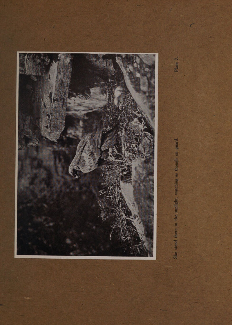 ty ) , | { | ) : ’ : | 3 | | | ; te , t f ‘ ue : | | | \ ‘ ‘ ¢ : ) ; | | . ; | ' : : | 3 3 i 3 > e i : ray 7 m 2 ¢ . c. f ts % \ ui 3 | | | : ) : X Fi \ ; ; : 4 ‘ 5 : ' d a } : é : ‘| | | : o : 3 « ’ \ } { t ; 4 : : : i . 4 ey : ; - \ ‘ *, Mt F ‘ f 4 | , ‘s \ at 2 sf \ b, .. b : . 4 Kp of ie . f | ‘ : cea eat ge oS ns)